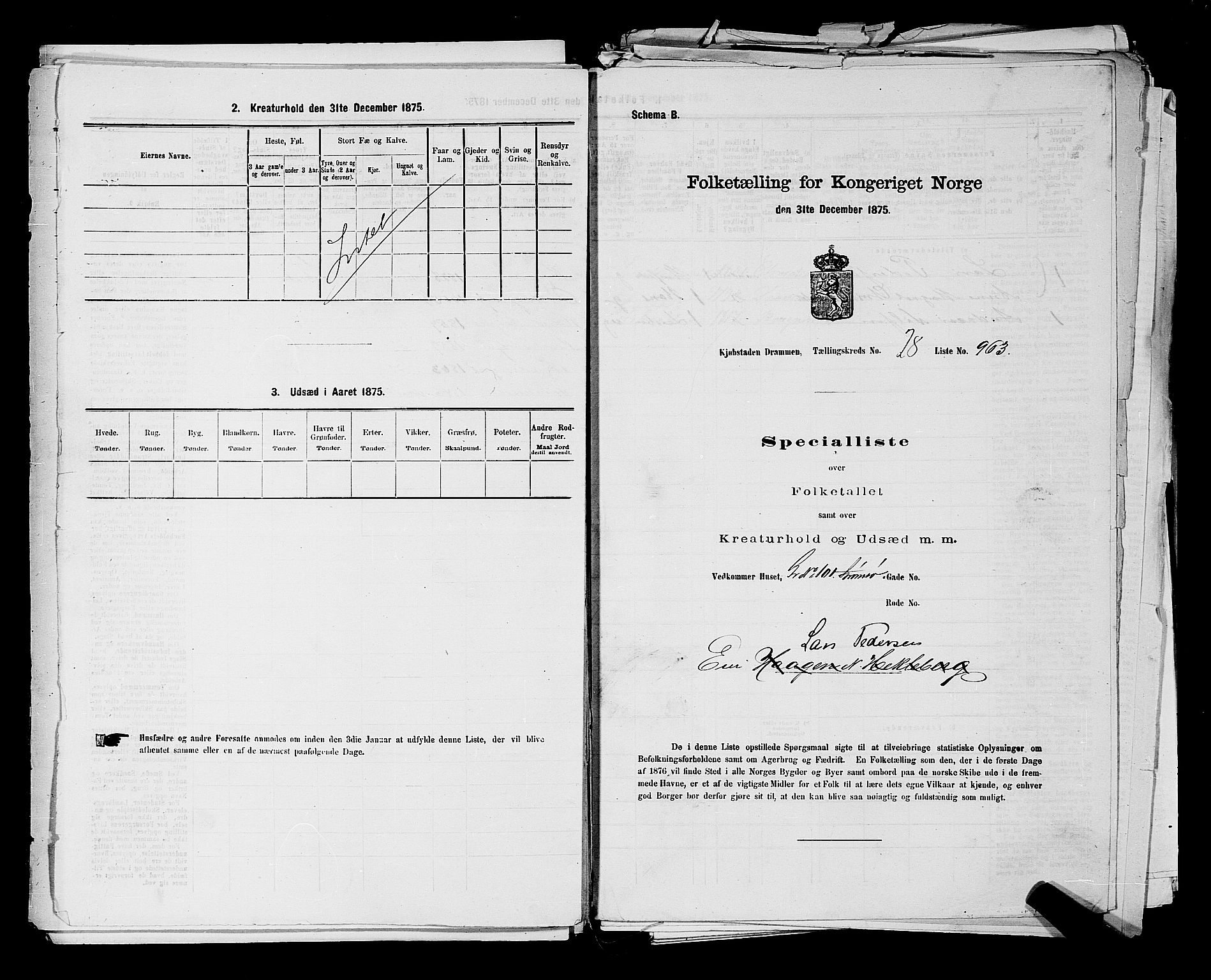 SAKO, 1875 census for 0602 Drammen, 1875, p. 2724