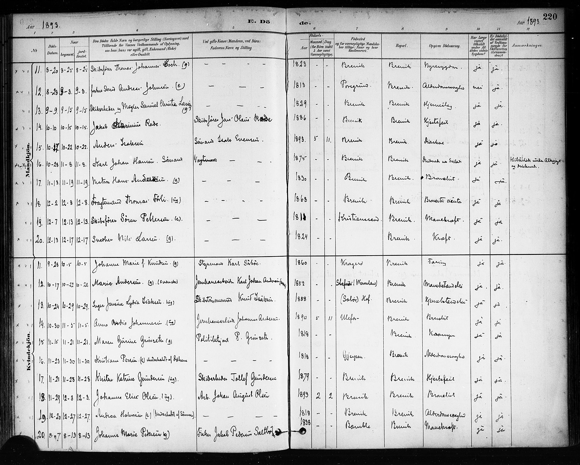 Brevik kirkebøker, SAKO/A-255/F/Fa/L0007: Parish register (official) no. 7, 1882-1900, p. 220