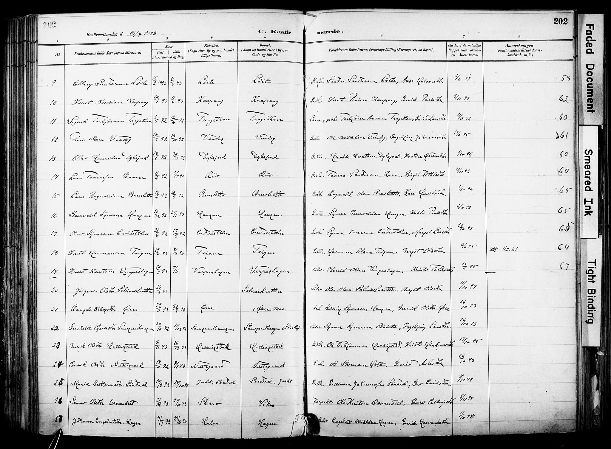Hol kirkebøker, SAKO/A-227/F/Fa/L0003: Parish register (official) no. I 3, 1887-1918, p. 202