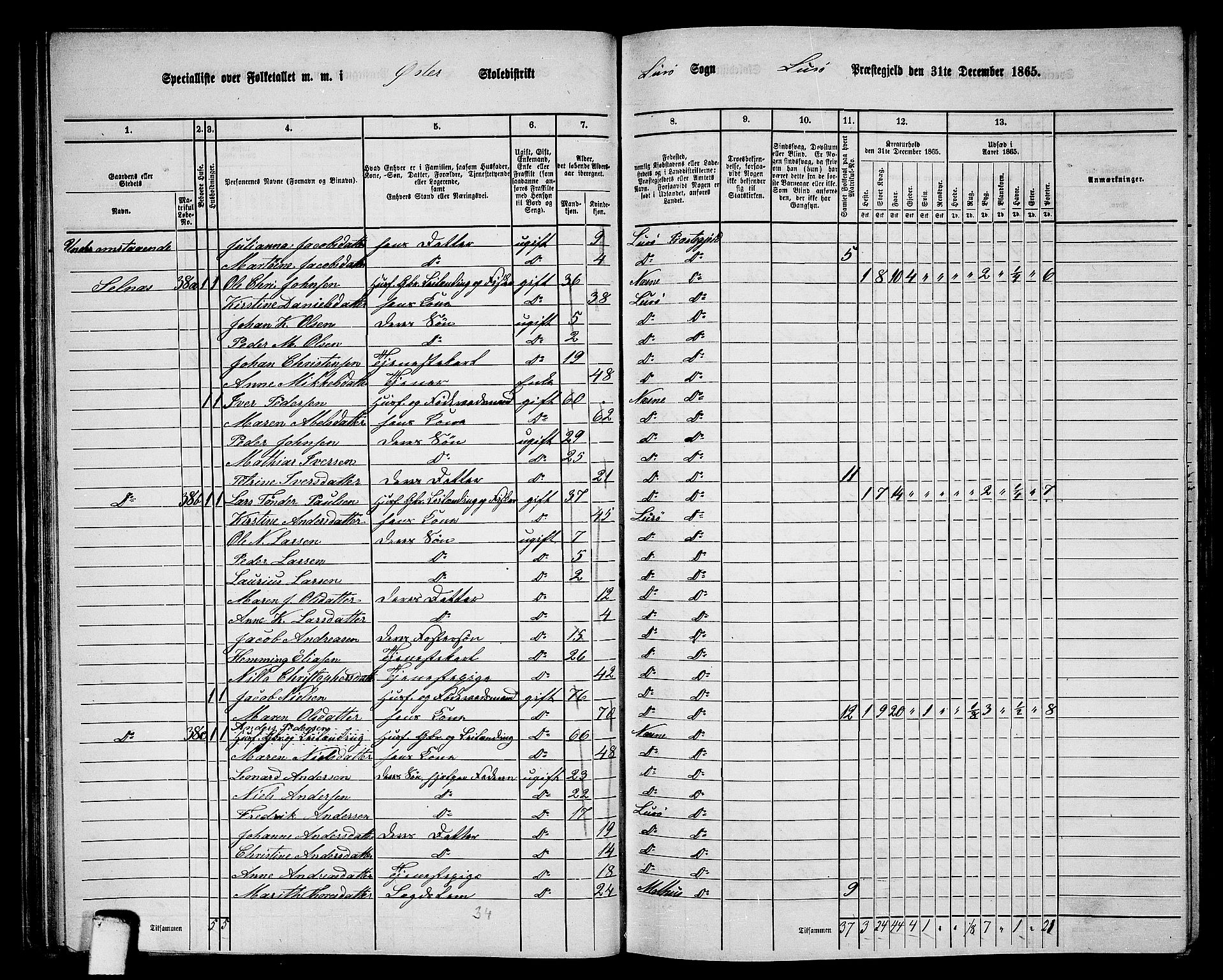 RA, 1865 census for Lurøy, 1865, p. 48