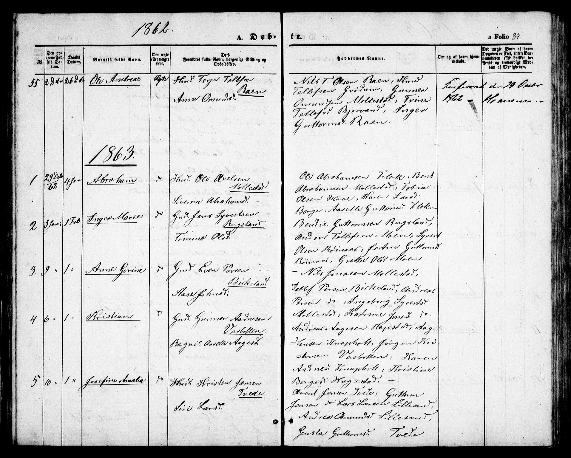 Birkenes sokneprestkontor, AV/SAK-1111-0004/F/Fb/L0002: Parish register (copy) no. B 2, 1849-1876, p. 87