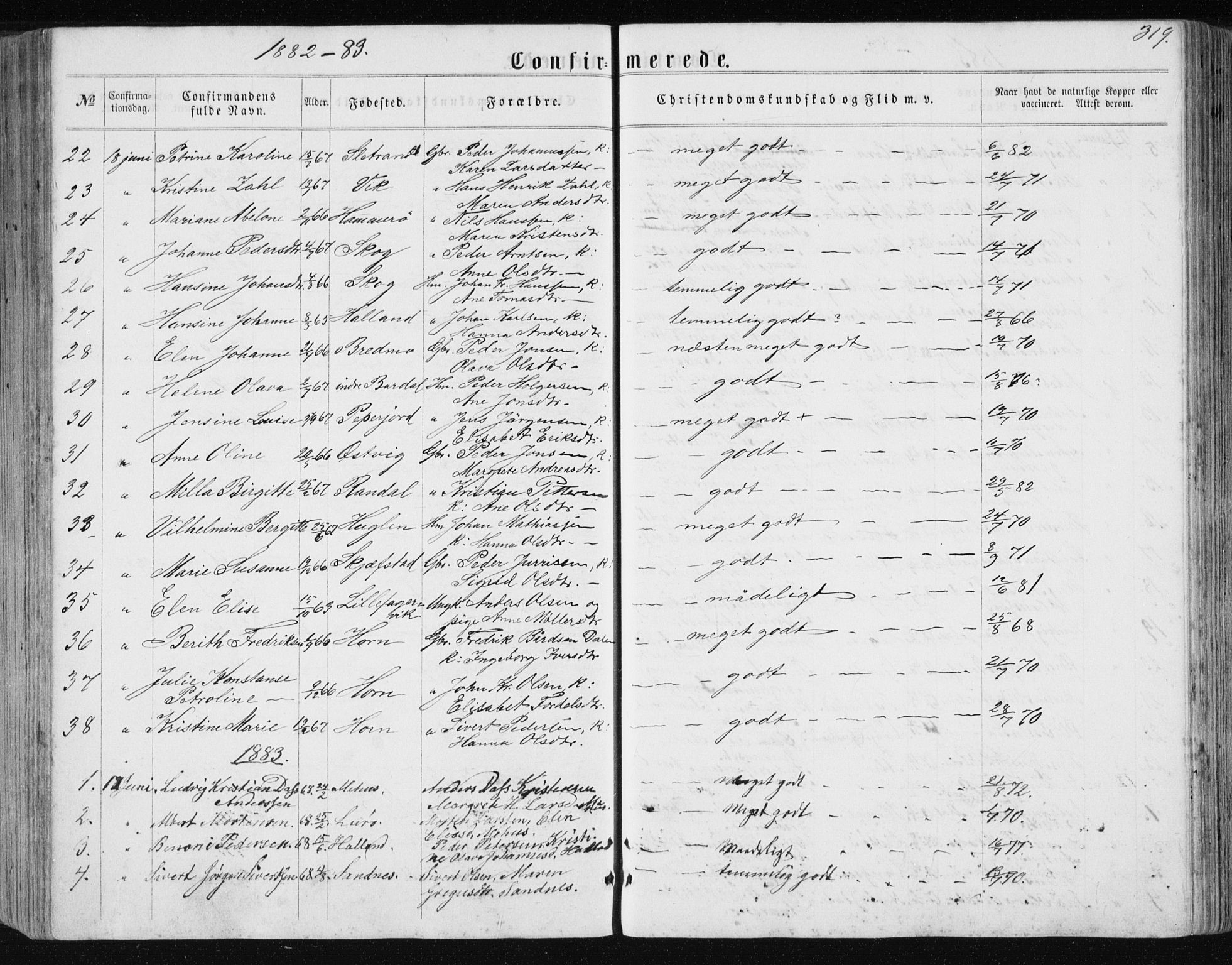 Ministerialprotokoller, klokkerbøker og fødselsregistre - Nordland, SAT/A-1459/838/L0556: Parish register (copy) no. 838C03, 1861-1893, p. 319