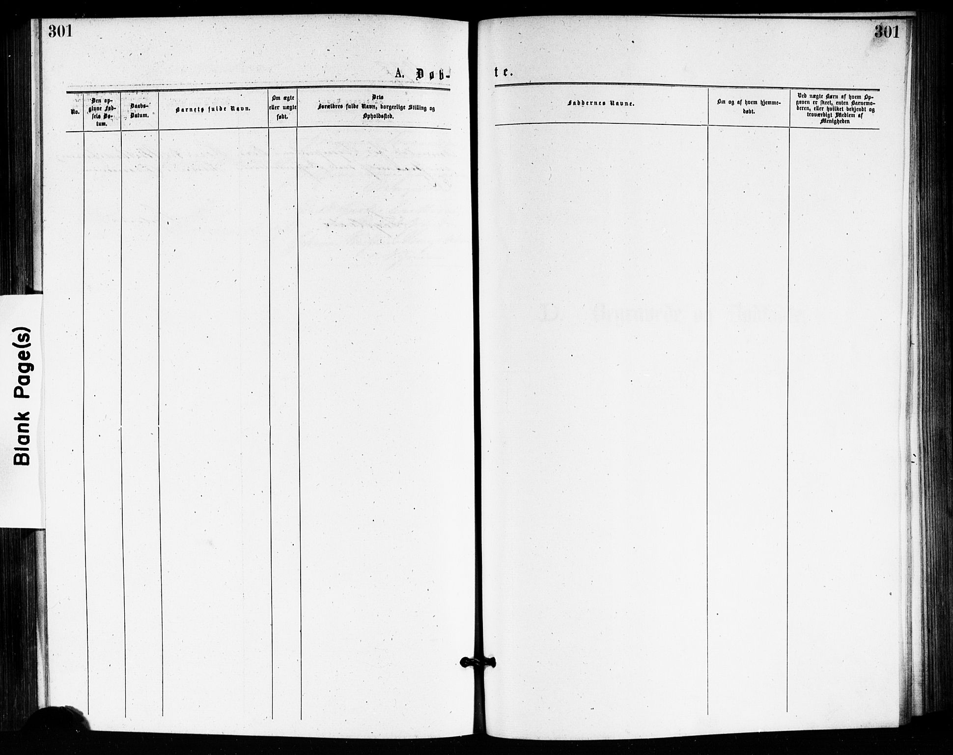 Bragernes kirkebøker, SAKO/A-6/F/Fb/L0005: Parish register (official) no. II 5, 1875-1877, p. 301