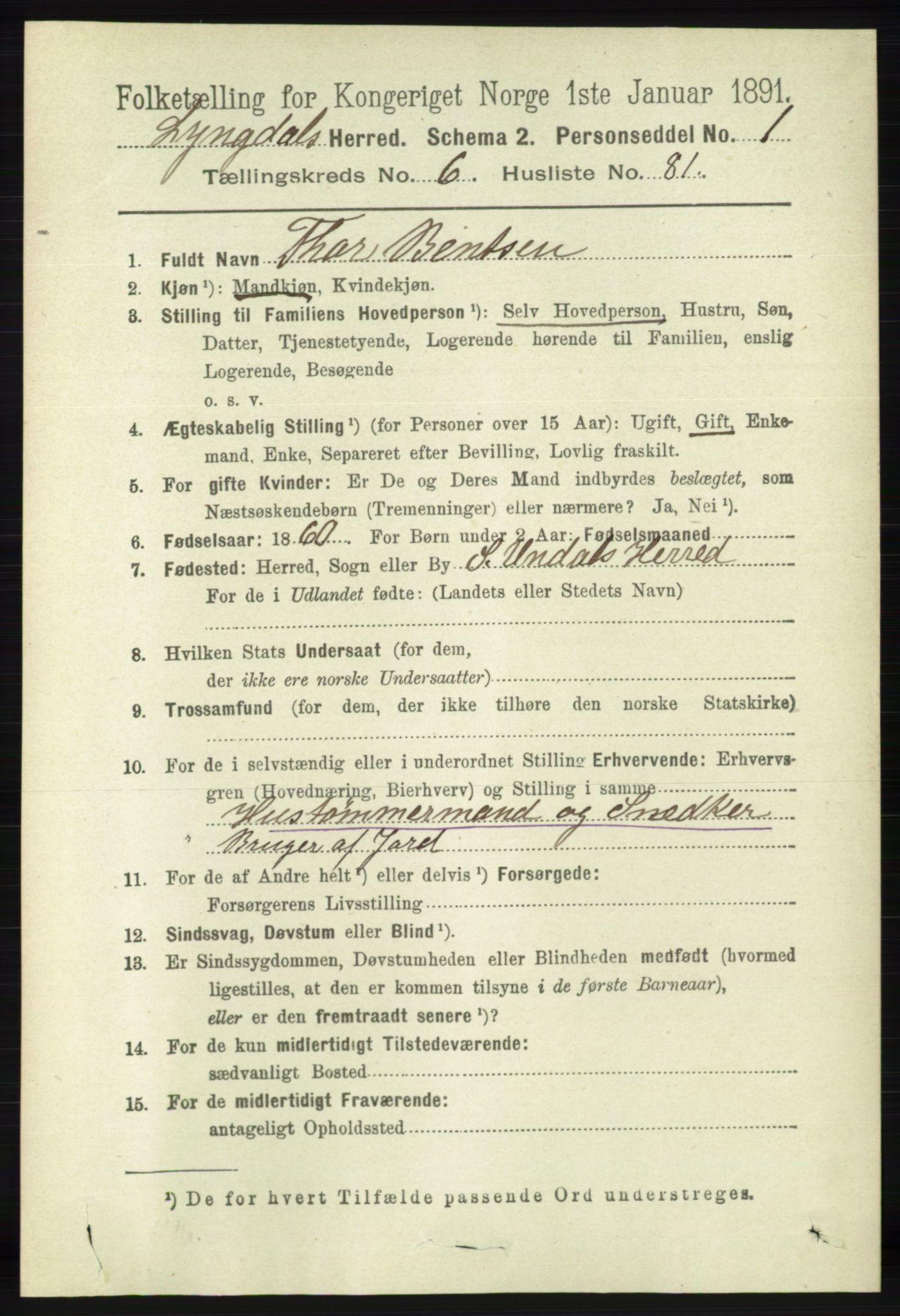 RA, 1891 census for 1032 Lyngdal, 1891, p. 2822