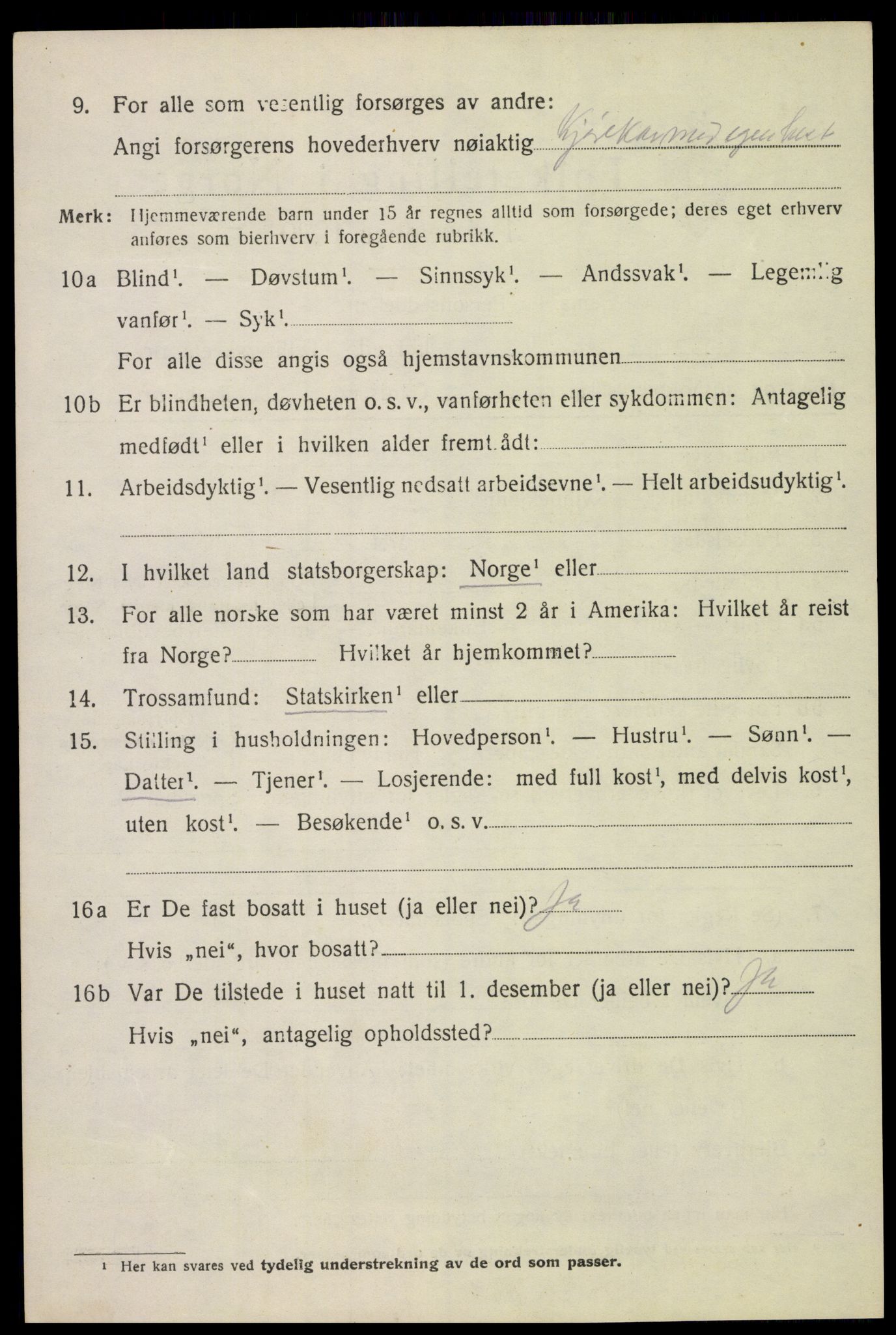 SAH, 1920 census for Vang (Hedmark), 1920, p. 11076