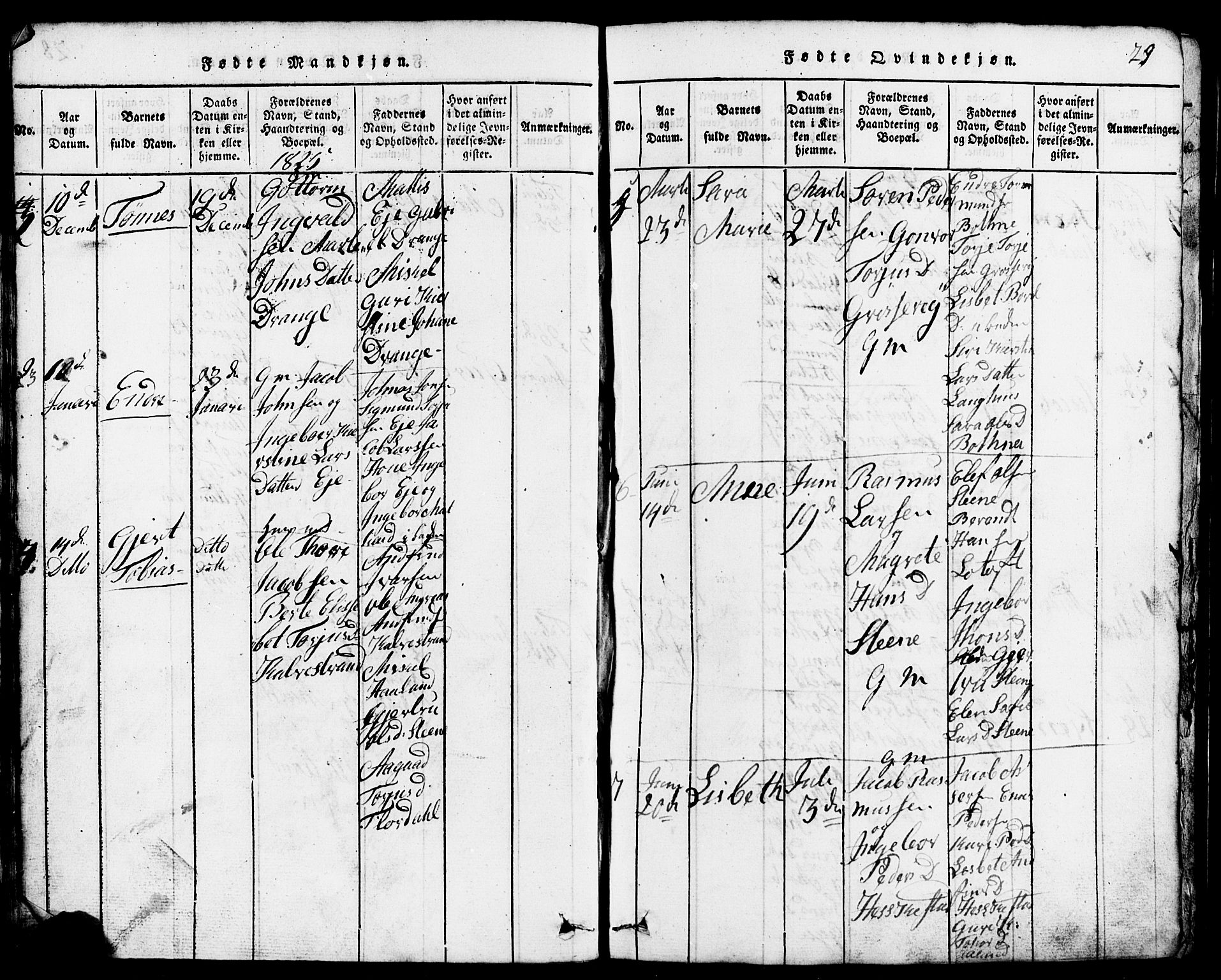 Lund sokneprestkontor, AV/SAST-A-101809/S07/L0001: Parish register (copy) no. B 1, 1815-1853, p. 29