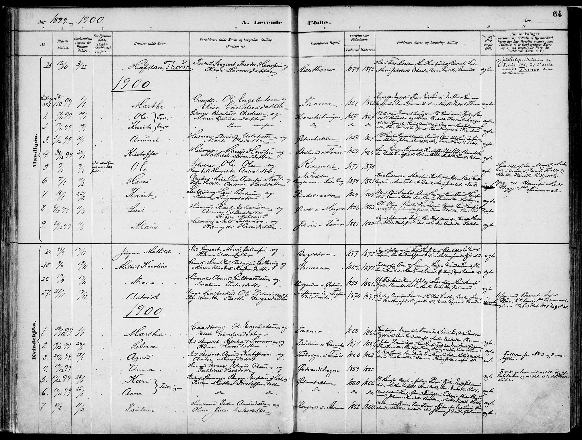 Nord-Odal prestekontor, AV/SAH-PREST-032/H/Ha/Haa/L0008: Parish register (official) no. 8, 1886-1901, p. 64