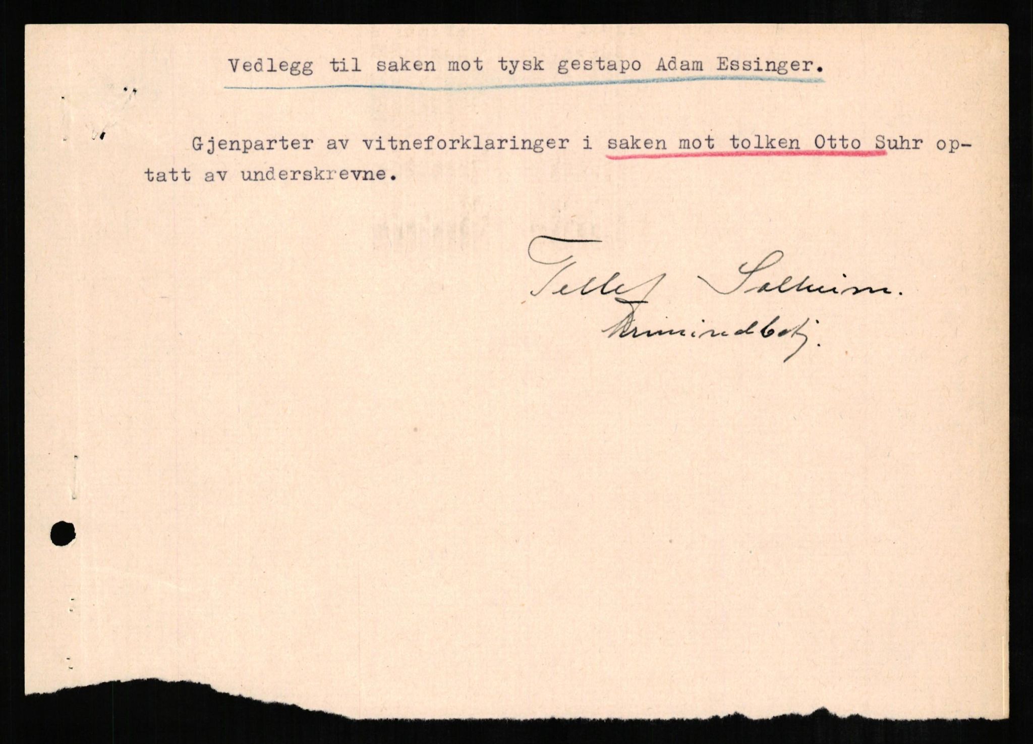 Forsvaret, Forsvarets overkommando II, AV/RA-RAFA-3915/D/Db/L0007: CI Questionaires. Tyske okkupasjonsstyrker i Norge. Tyskere., 1945-1946, p. 288