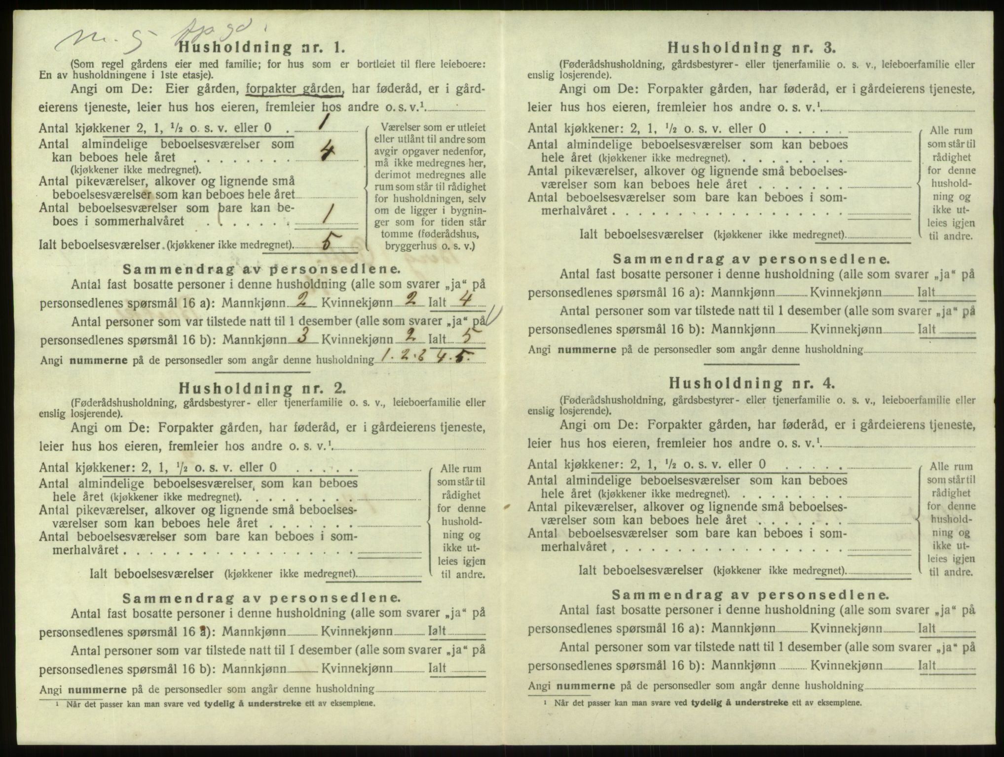 SAO, 1920 census for Berg, 1920, p. 1920