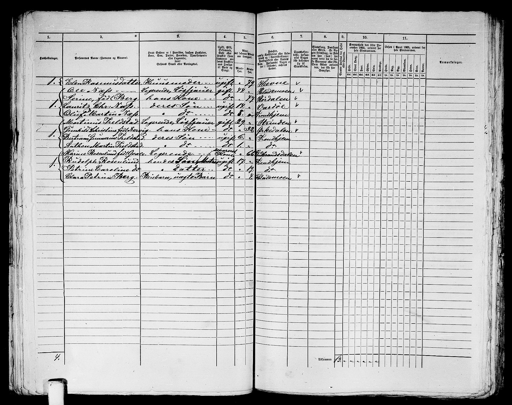 RA, 1865 census for Trondheim, 1865, p. 1255