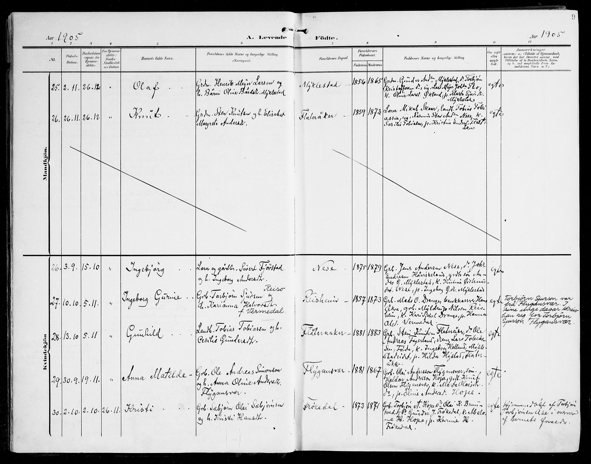 Tysnes sokneprestembete, SAB/A-78601/H/Haa: Parish register (official) no. D 2, 1905-1922, p. 9