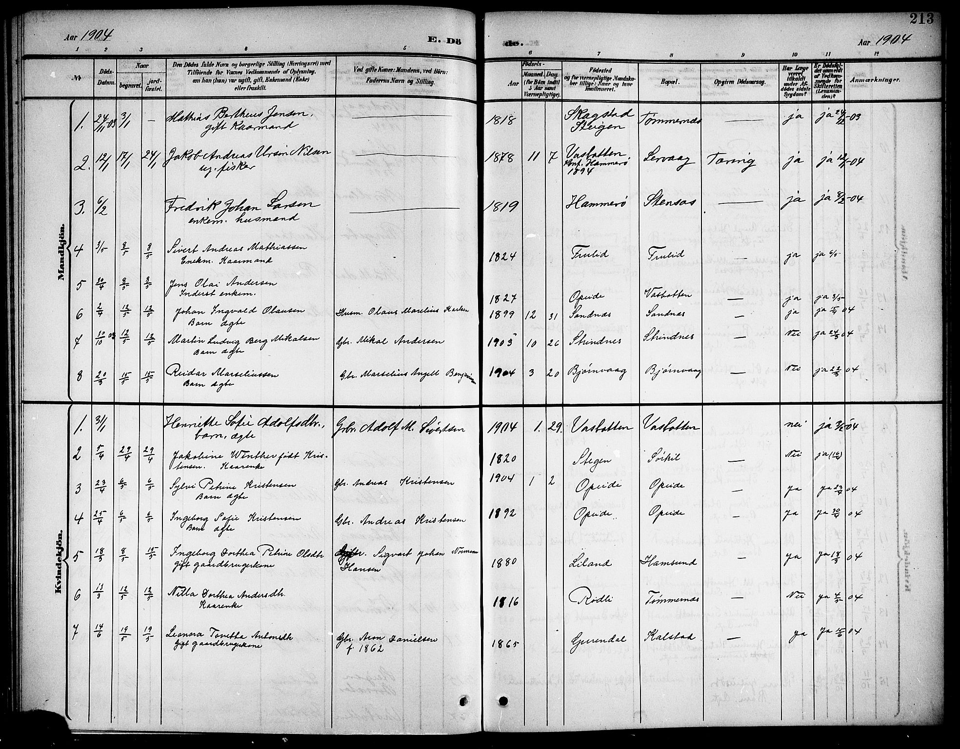 Ministerialprotokoller, klokkerbøker og fødselsregistre - Nordland, SAT/A-1459/859/L0860: Parish register (copy) no. 859C06, 1899-1909, p. 213