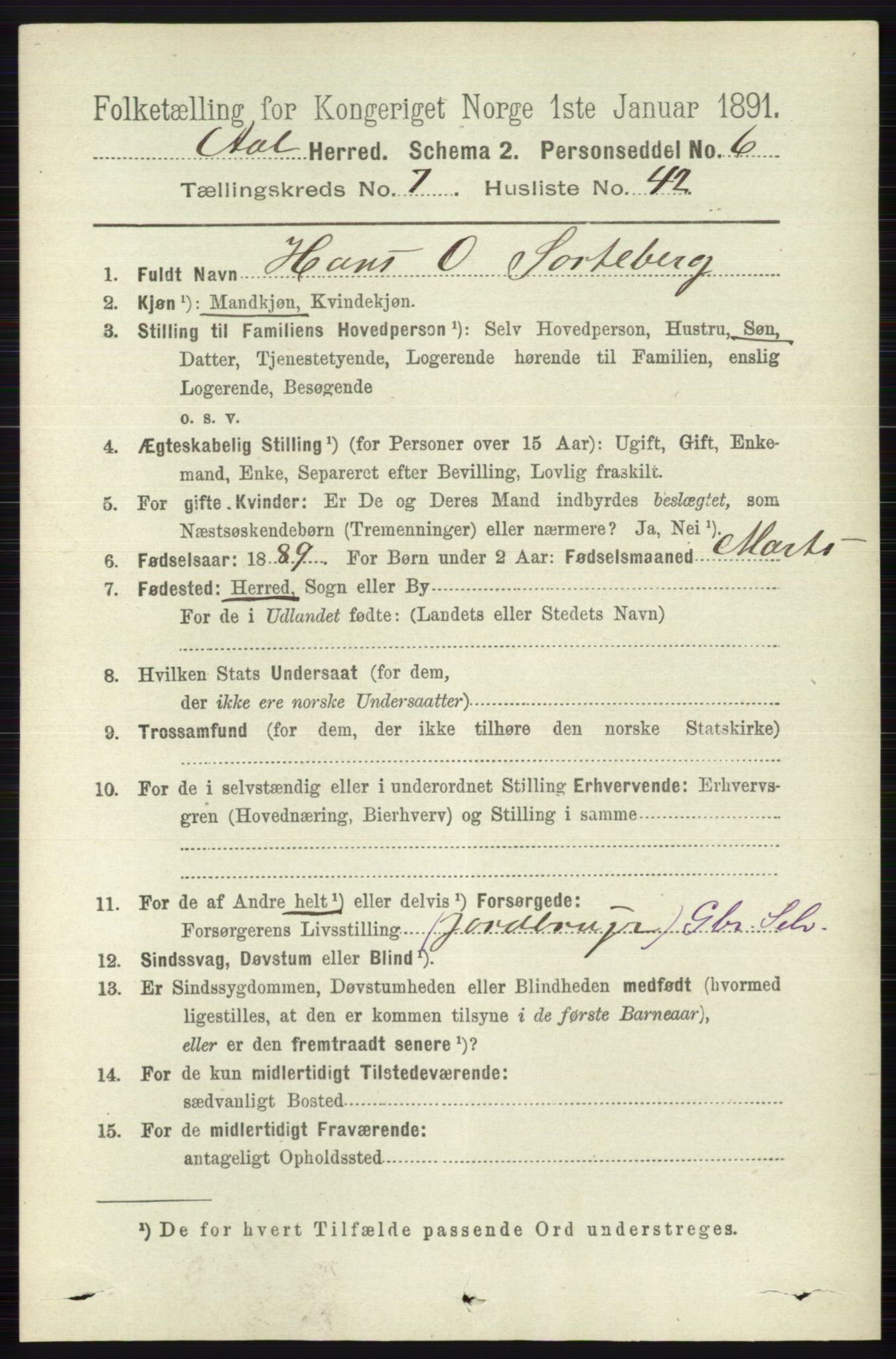 RA, 1891 census for 0619 Ål, 1891, p. 2021