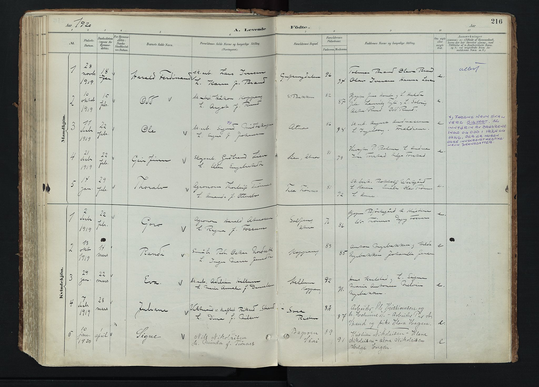 Stor-Elvdal prestekontor, SAH/PREST-052/H/Ha/Haa/L0004: Parish register (official) no. 4, 1890-1922, p. 216