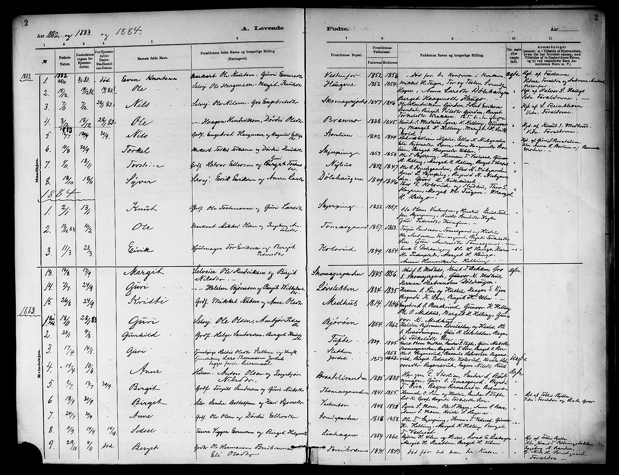Ål kirkebøker, SAKO/A-249/F/Fb/L0001: Parish register (official) no. II 1, 1882-1899, p. 2