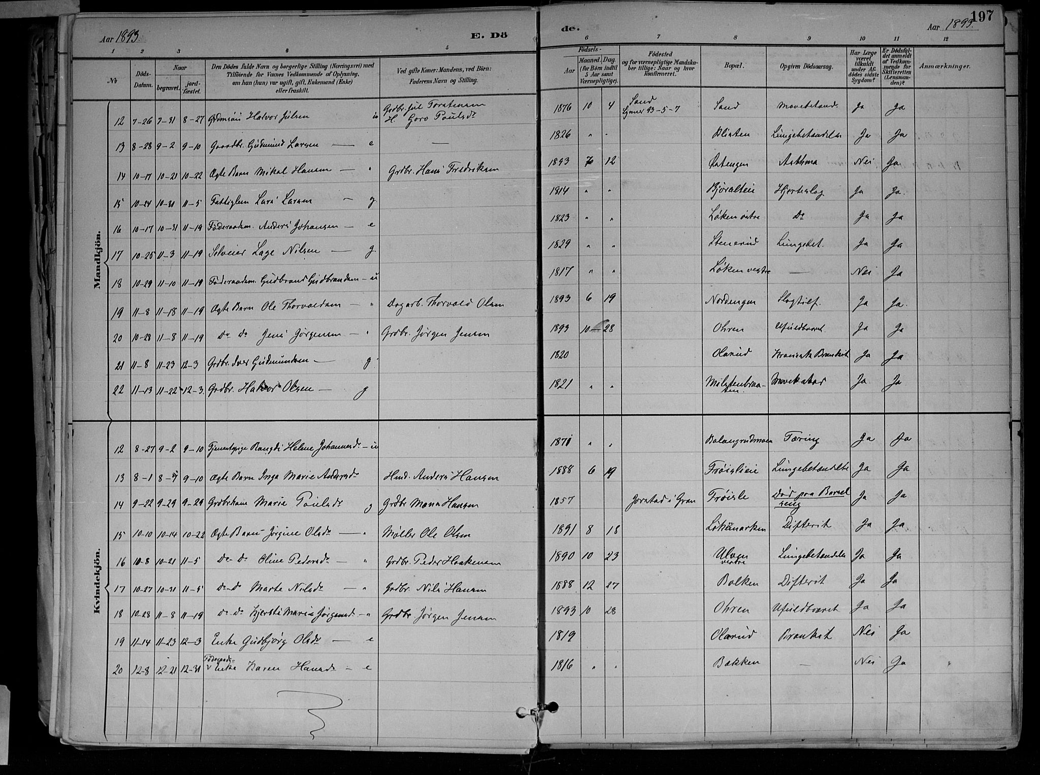 Jevnaker prestekontor, SAH/PREST-116/H/Ha/Haa/L0010: Parish register (official) no. 10, 1891-1906, p. 197