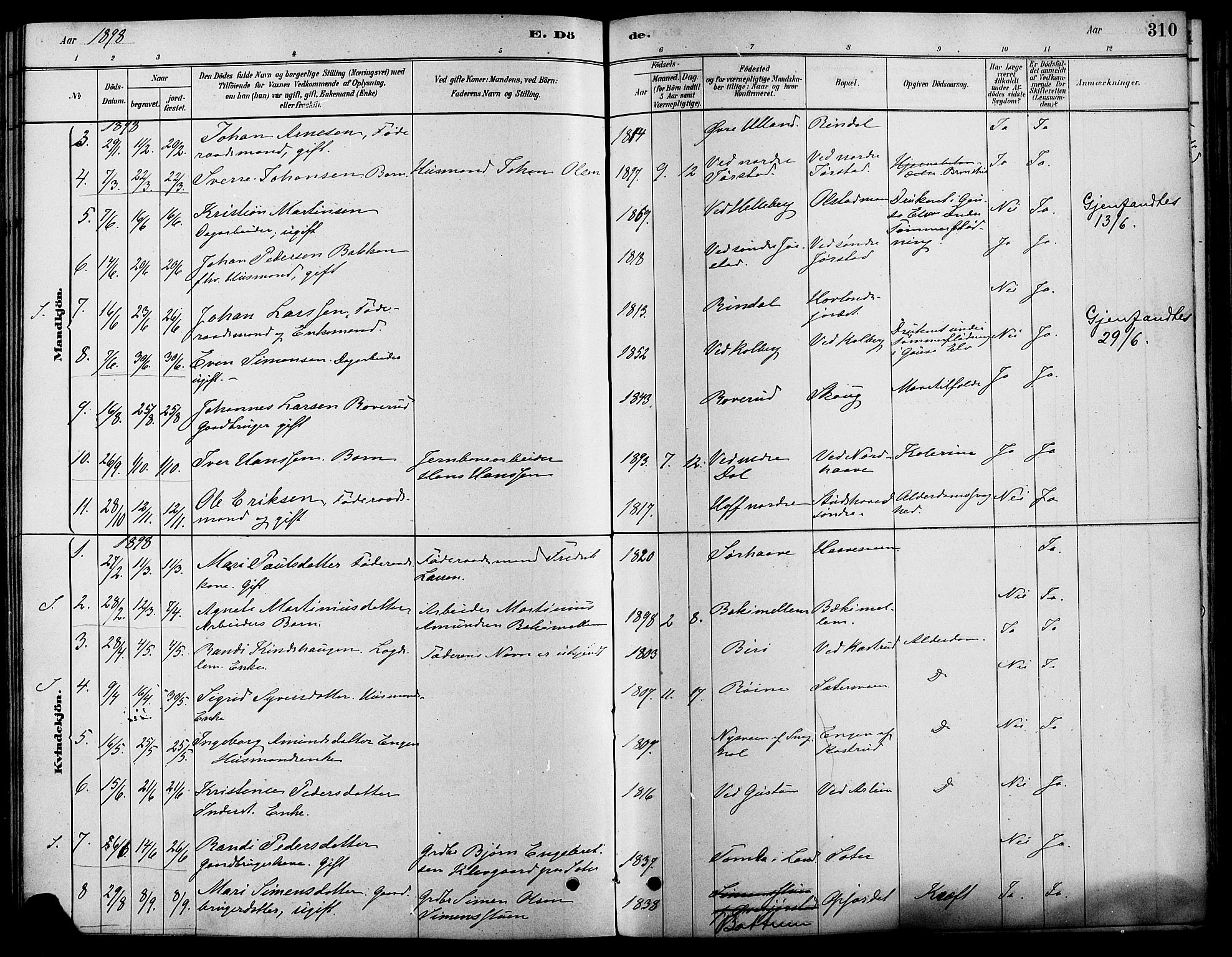Fåberg prestekontor, SAH/PREST-086/H/Ha/Haa/L0008: Parish register (official) no. 8, 1879-1898, p. 310