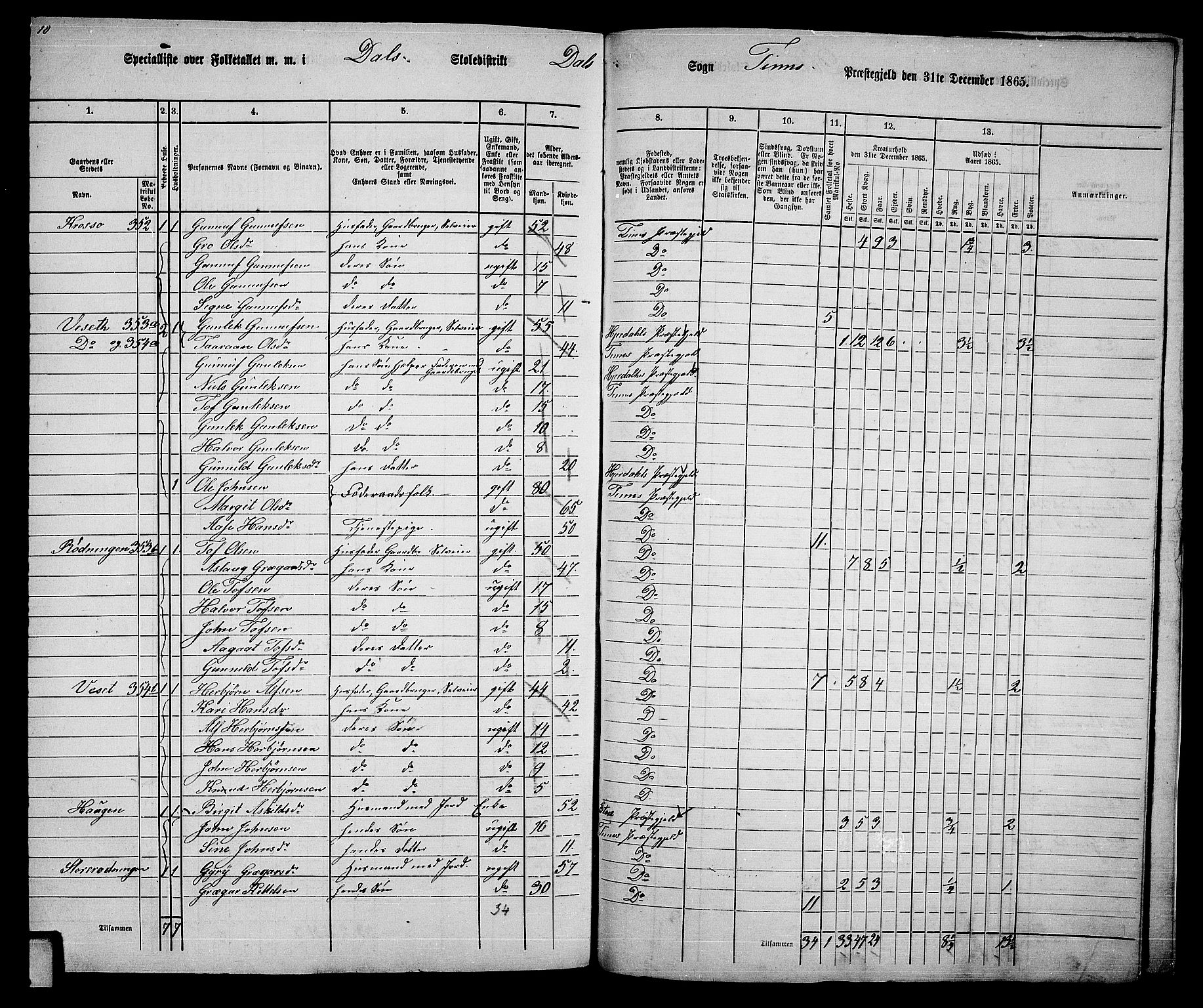 RA, 1865 census for Tinn, 1865, p. 111