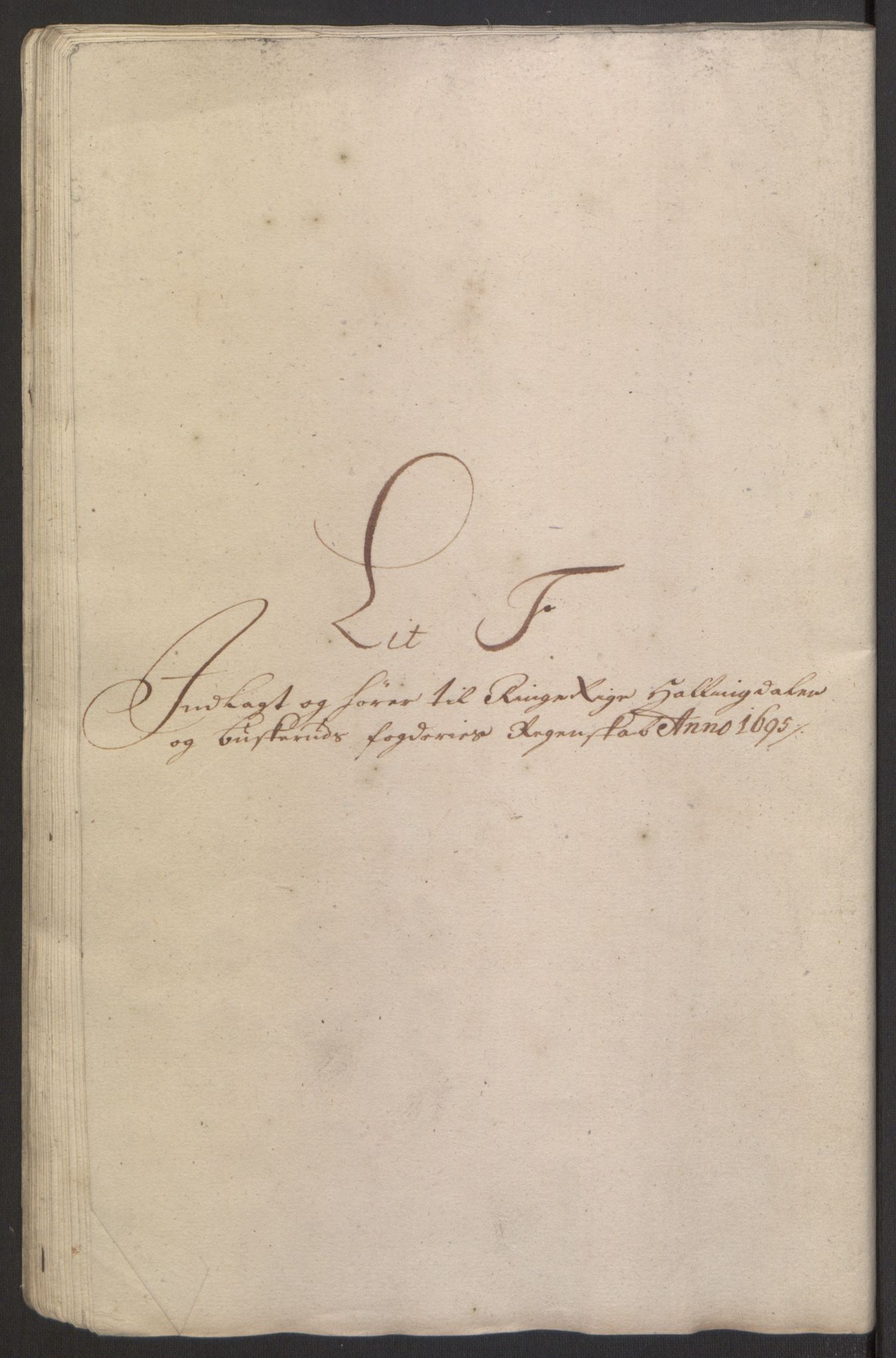 Rentekammeret inntil 1814, Reviderte regnskaper, Fogderegnskap, RA/EA-4092/R22/L1452: Fogderegnskap Ringerike, Hallingdal og Buskerud, 1695, p. 289