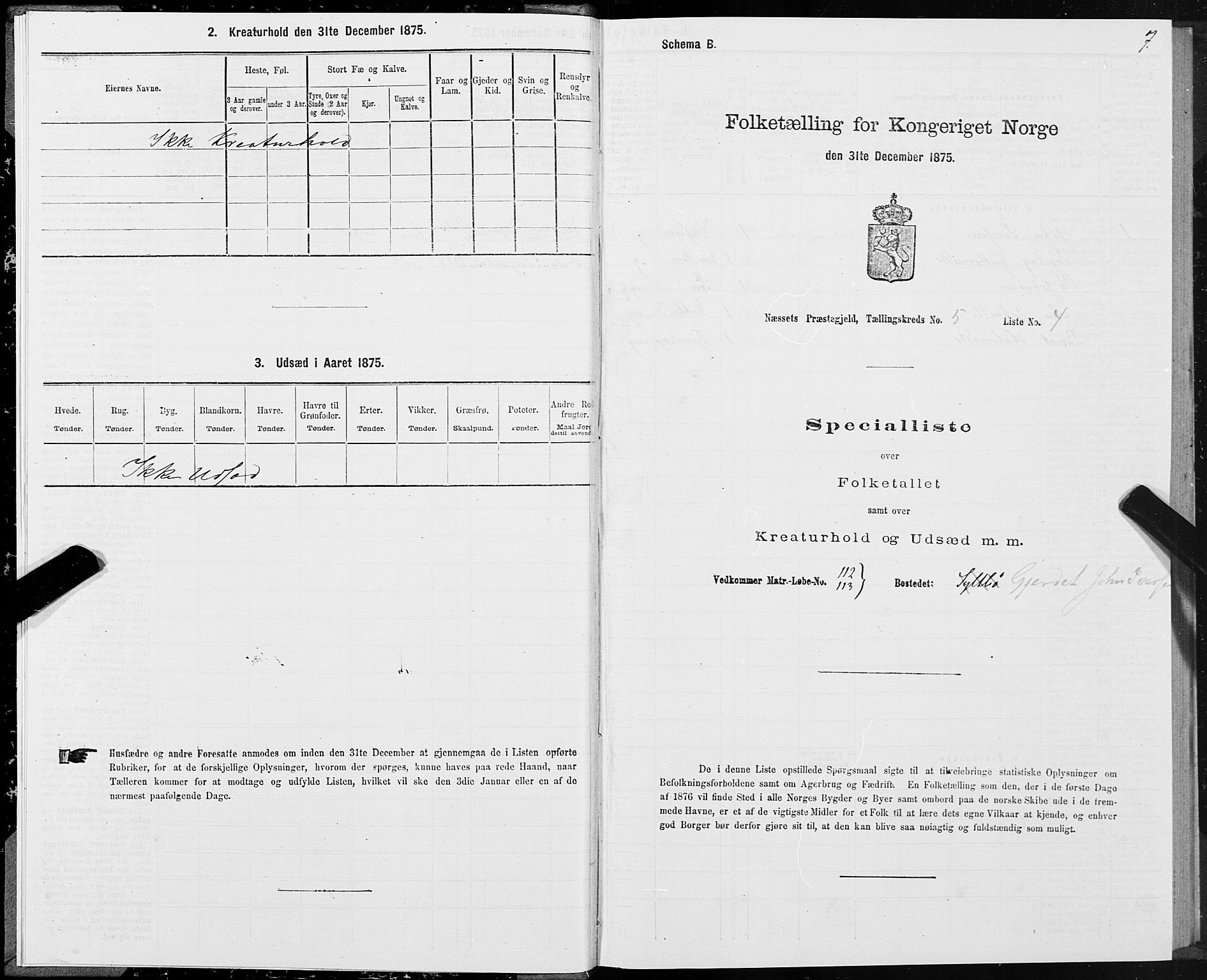 SAT, 1875 census for 1543P Nesset, 1875, p. 3007