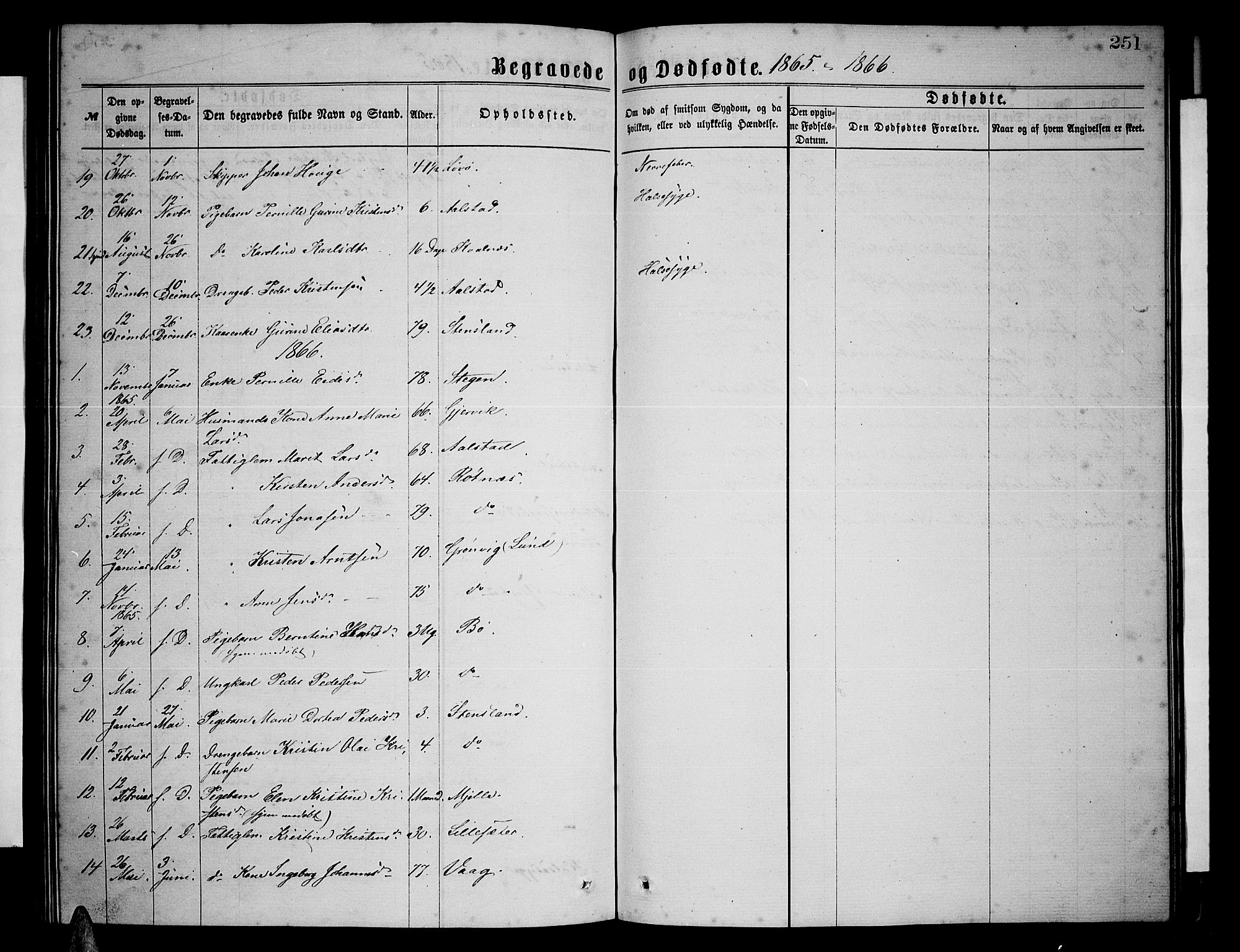 Ministerialprotokoller, klokkerbøker og fødselsregistre - Nordland, AV/SAT-A-1459/855/L0815: Parish register (copy) no. 855C04, 1865-1878, p. 251