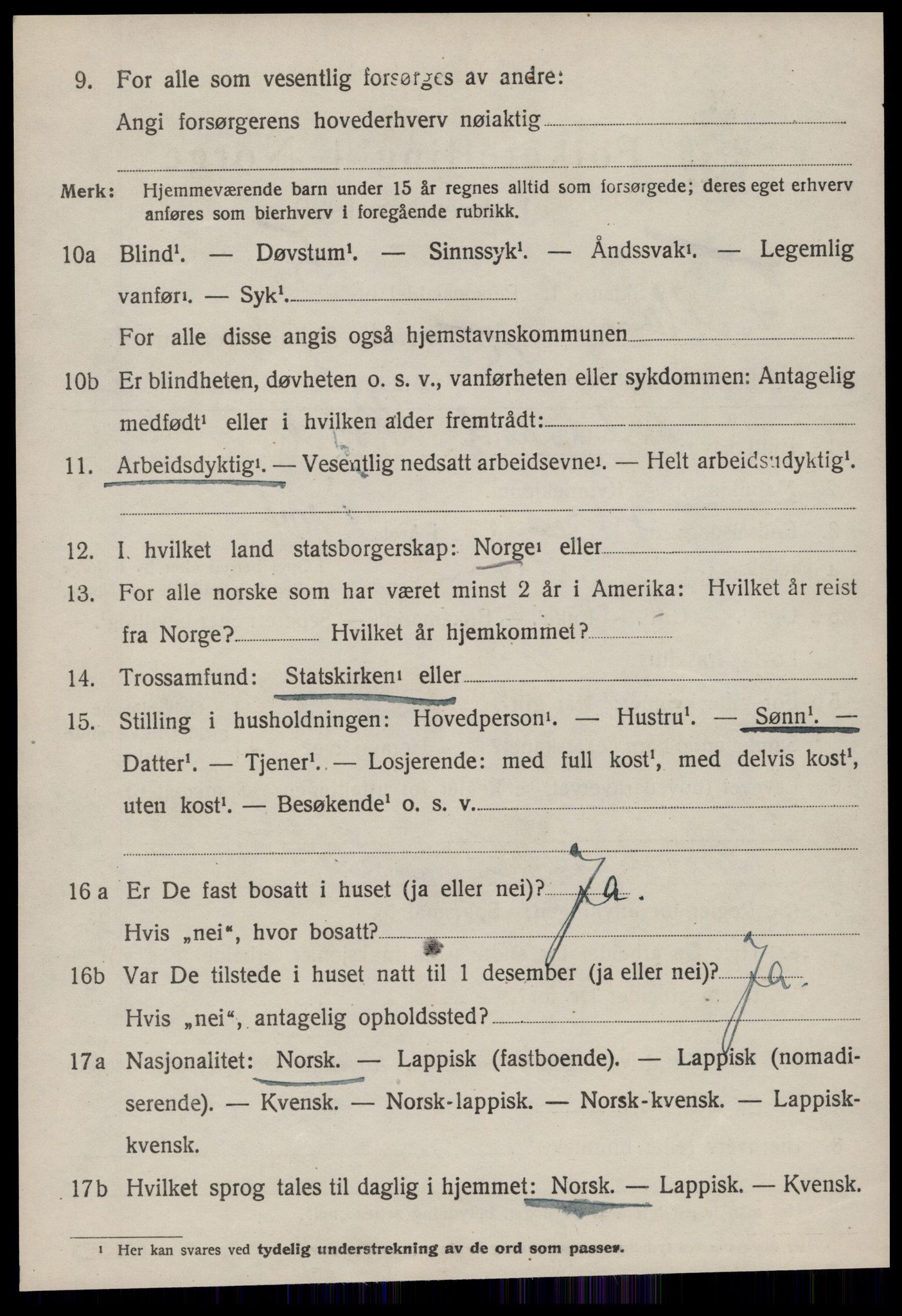 SAT, 1920 census for Fillan, 1920, p. 1315