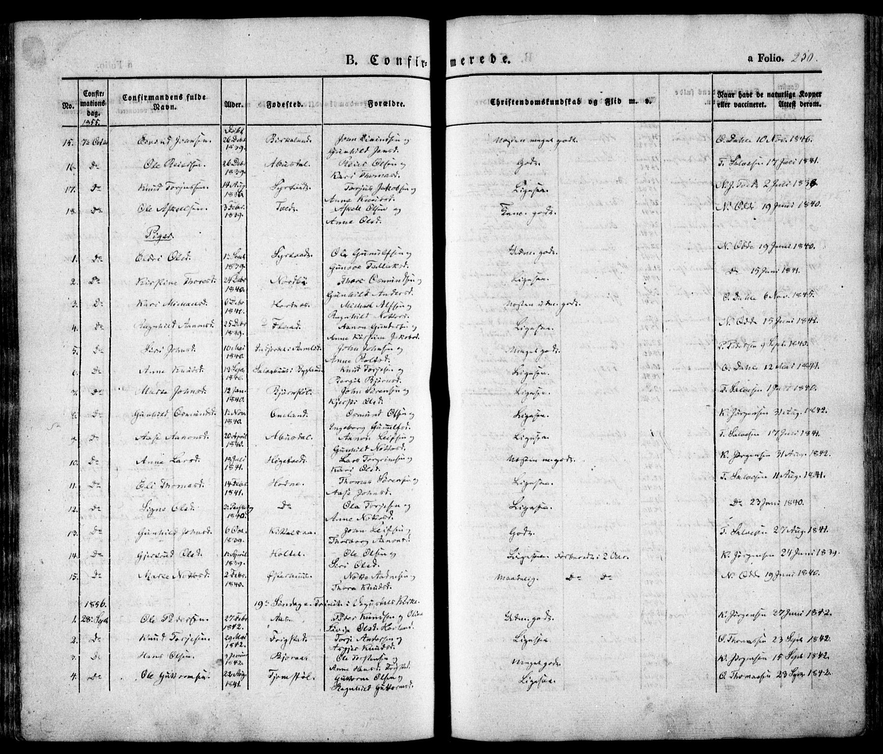 Evje sokneprestkontor, AV/SAK-1111-0008/F/Fa/Faa/L0005: Parish register (official) no. A 5, 1843-1865, p. 250