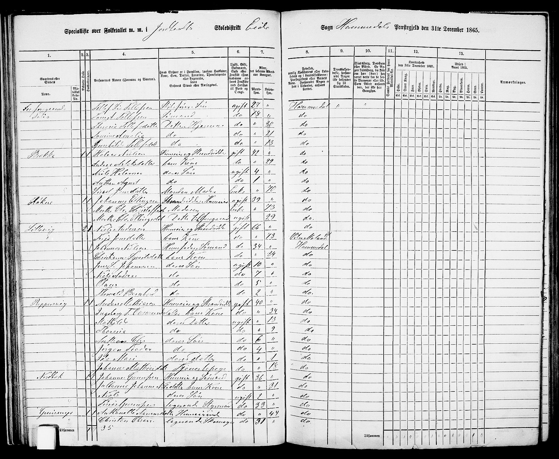 RA, 1865 census for Homedal, 1865, p. 41