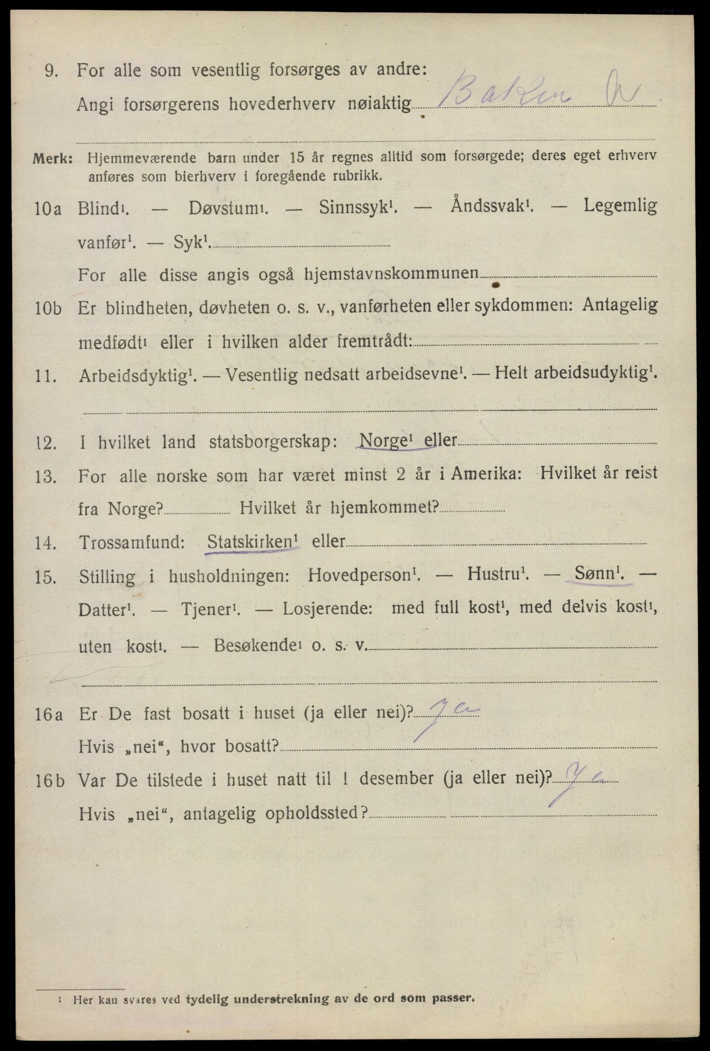 SAO, 1920 census for Asker, 1920, p. 11029