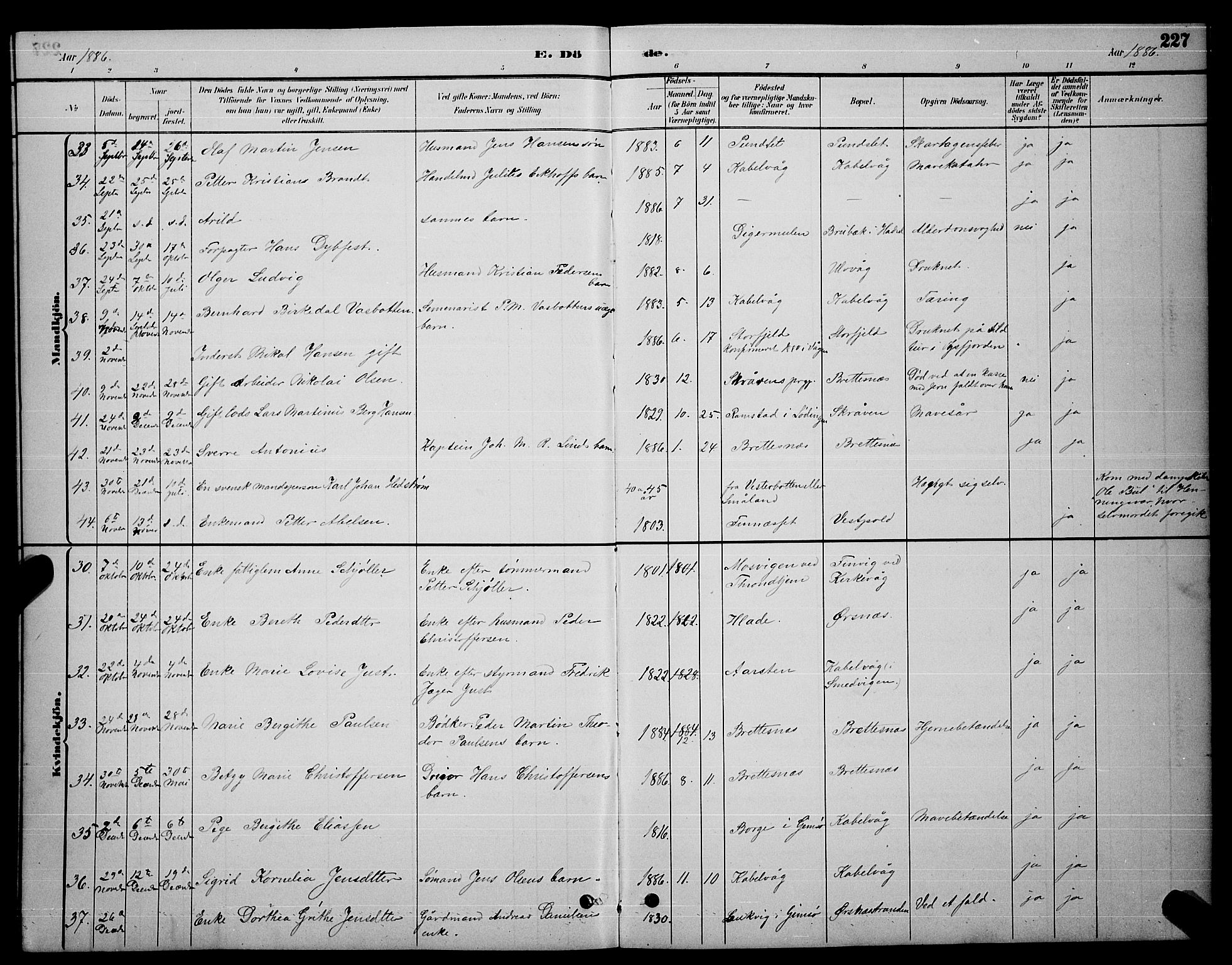 Ministerialprotokoller, klokkerbøker og fødselsregistre - Nordland, AV/SAT-A-1459/874/L1076: Parish register (copy) no. 874C05, 1884-1890, p. 227