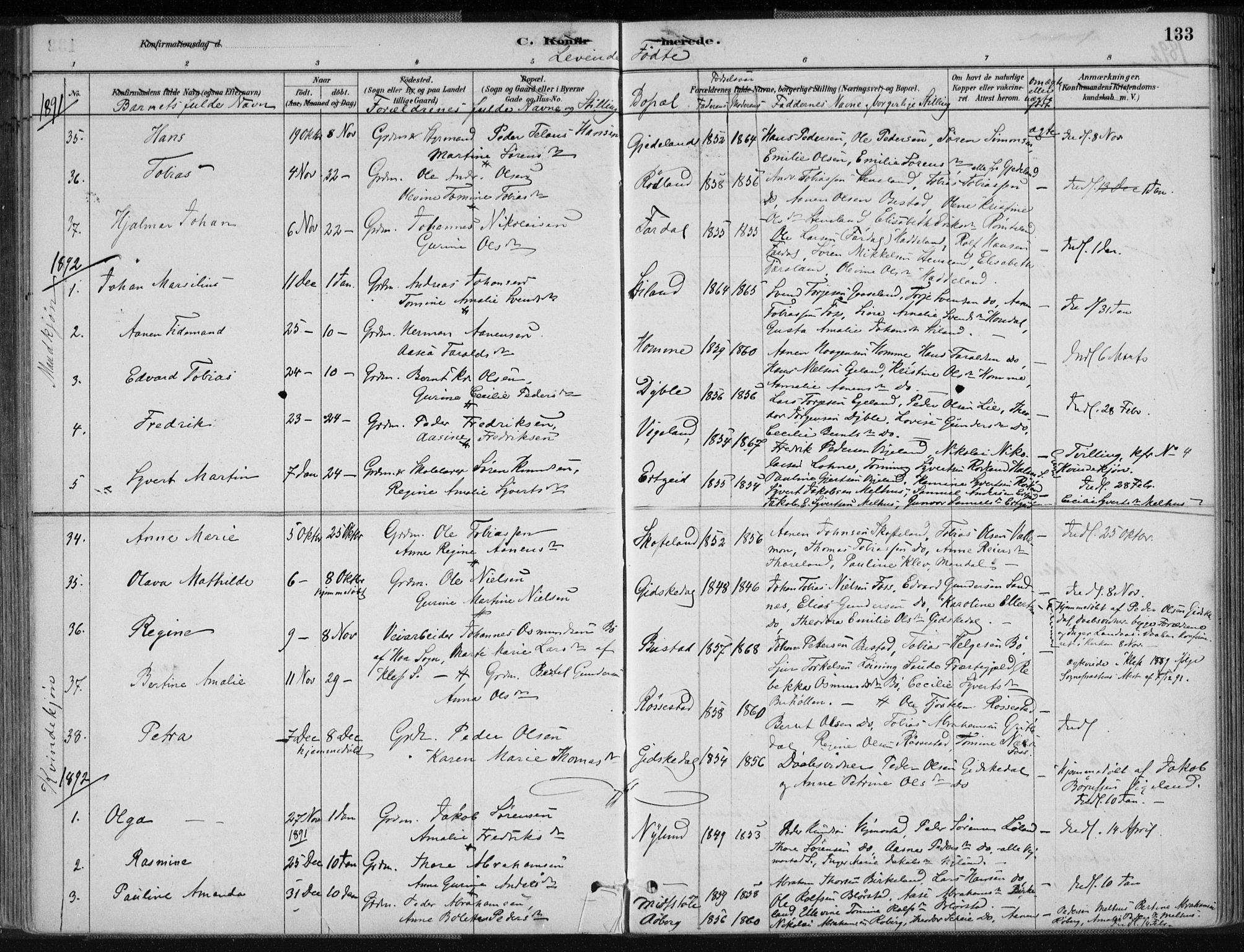 Sør-Audnedal sokneprestkontor, AV/SAK-1111-0039/F/Fa/Fab/L0009: Parish register (official) no. A 9, 1880-1895, p. 133