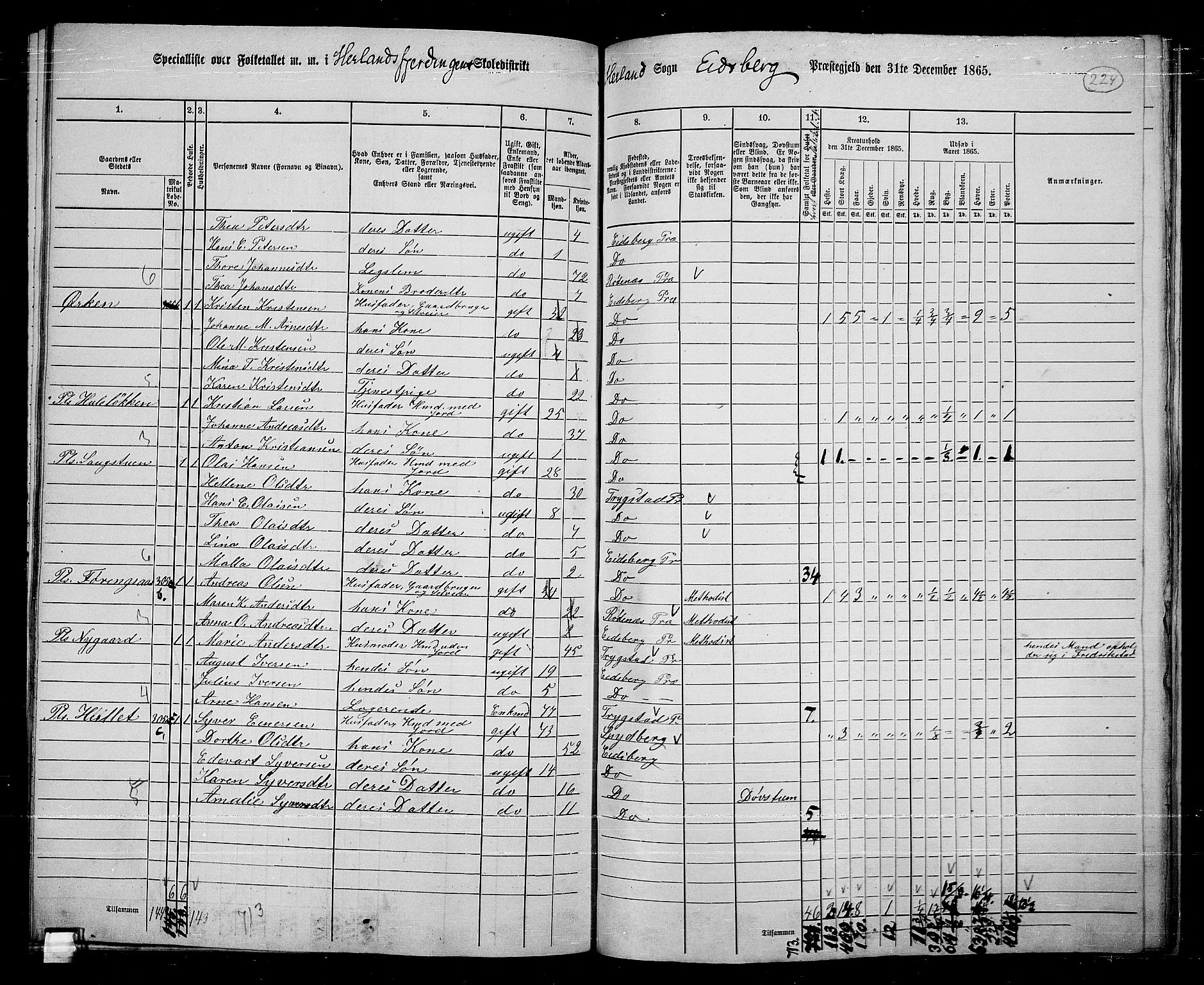 RA, 1865 census for Eidsberg, 1865, p. 203