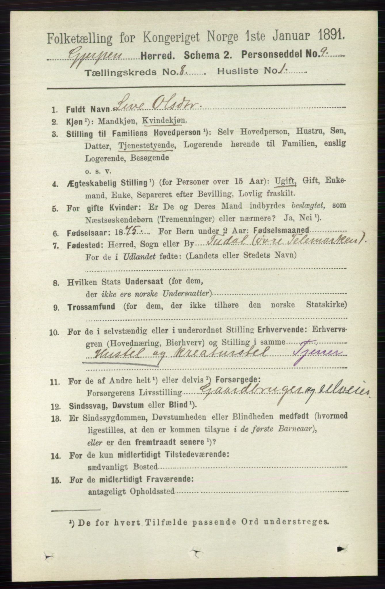 RA, 1891 census for 0812 Gjerpen, 1891, p. 4019