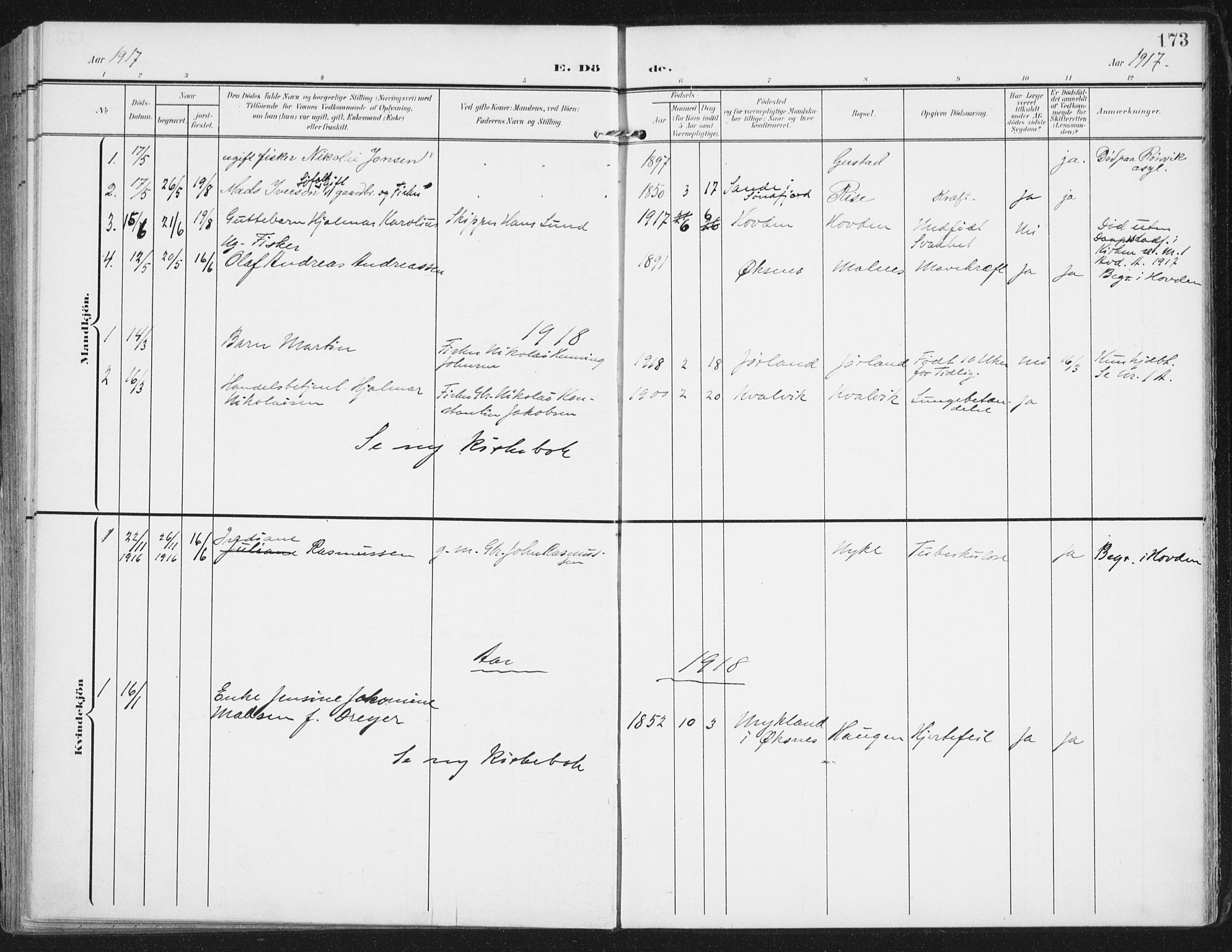 Ministerialprotokoller, klokkerbøker og fødselsregistre - Nordland, SAT/A-1459/892/L1321: Parish register (official) no. 892A02, 1902-1918, p. 173