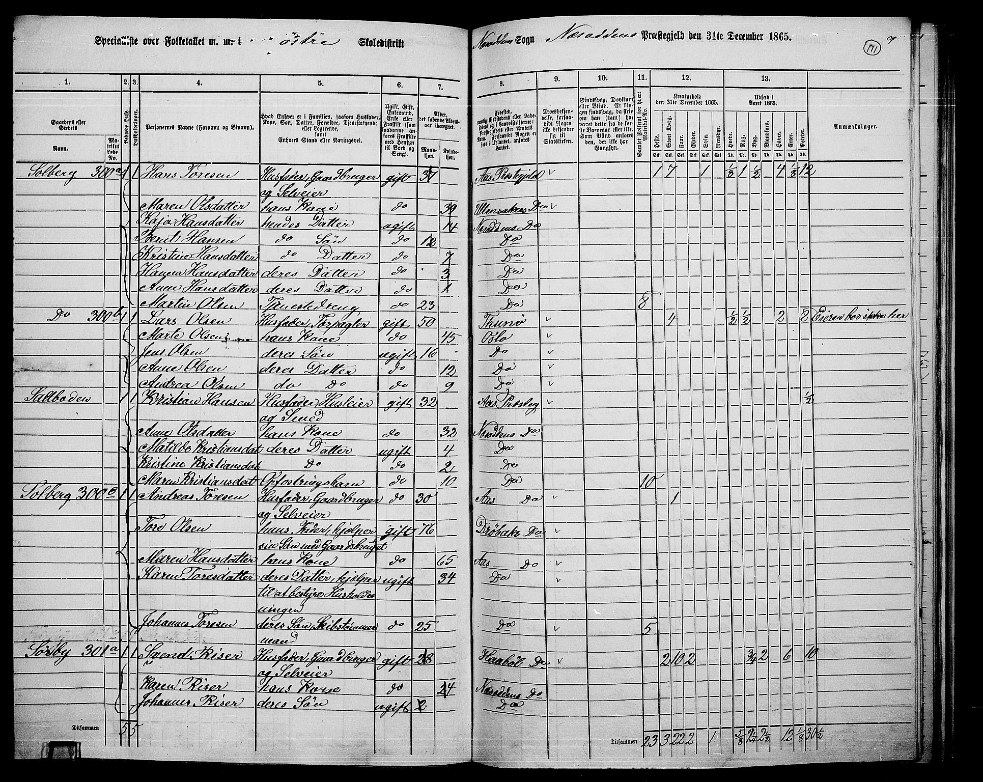 RA, 1865 census for Nesodden, 1865, p. 13