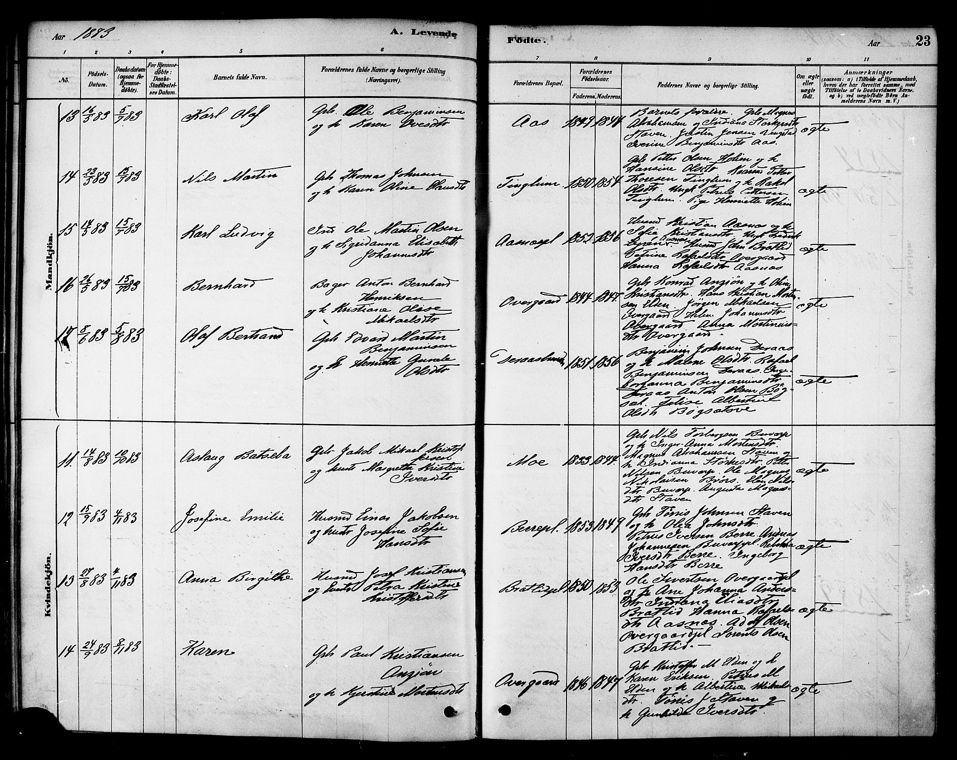 Ministerialprotokoller, klokkerbøker og fødselsregistre - Nord-Trøndelag, SAT/A-1458/742/L0408: Parish register (official) no. 742A01, 1878-1890, p. 23