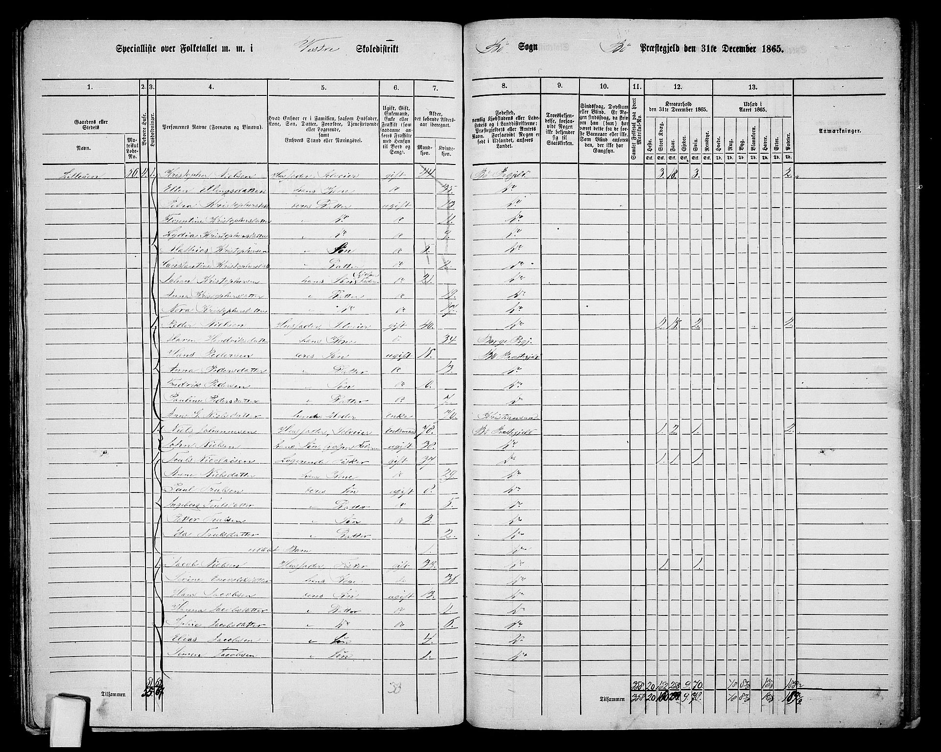 RA, 1865 census for Bø, 1865, p. 89