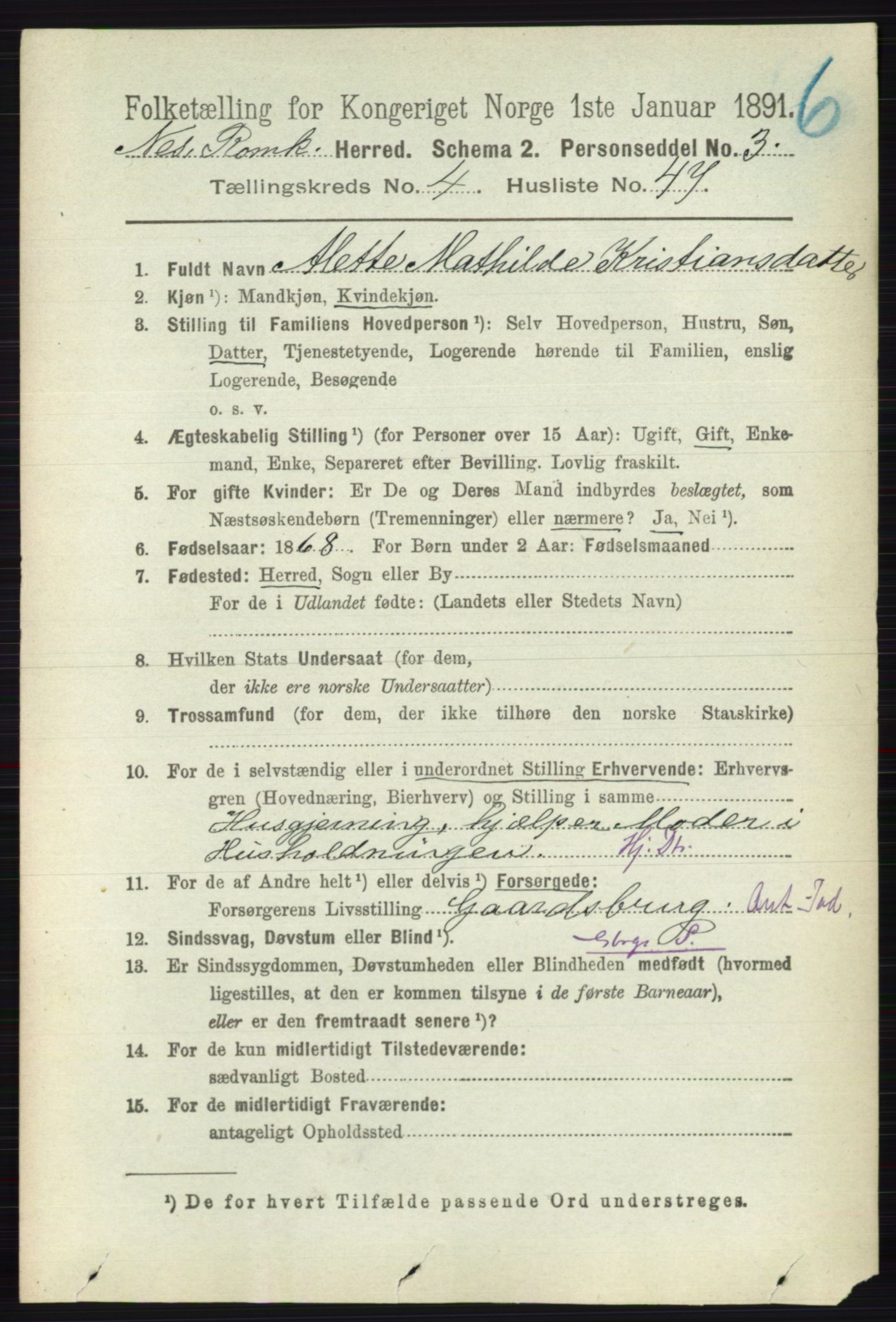 RA, 1891 census for 0236 Nes, 1891, p. 2526