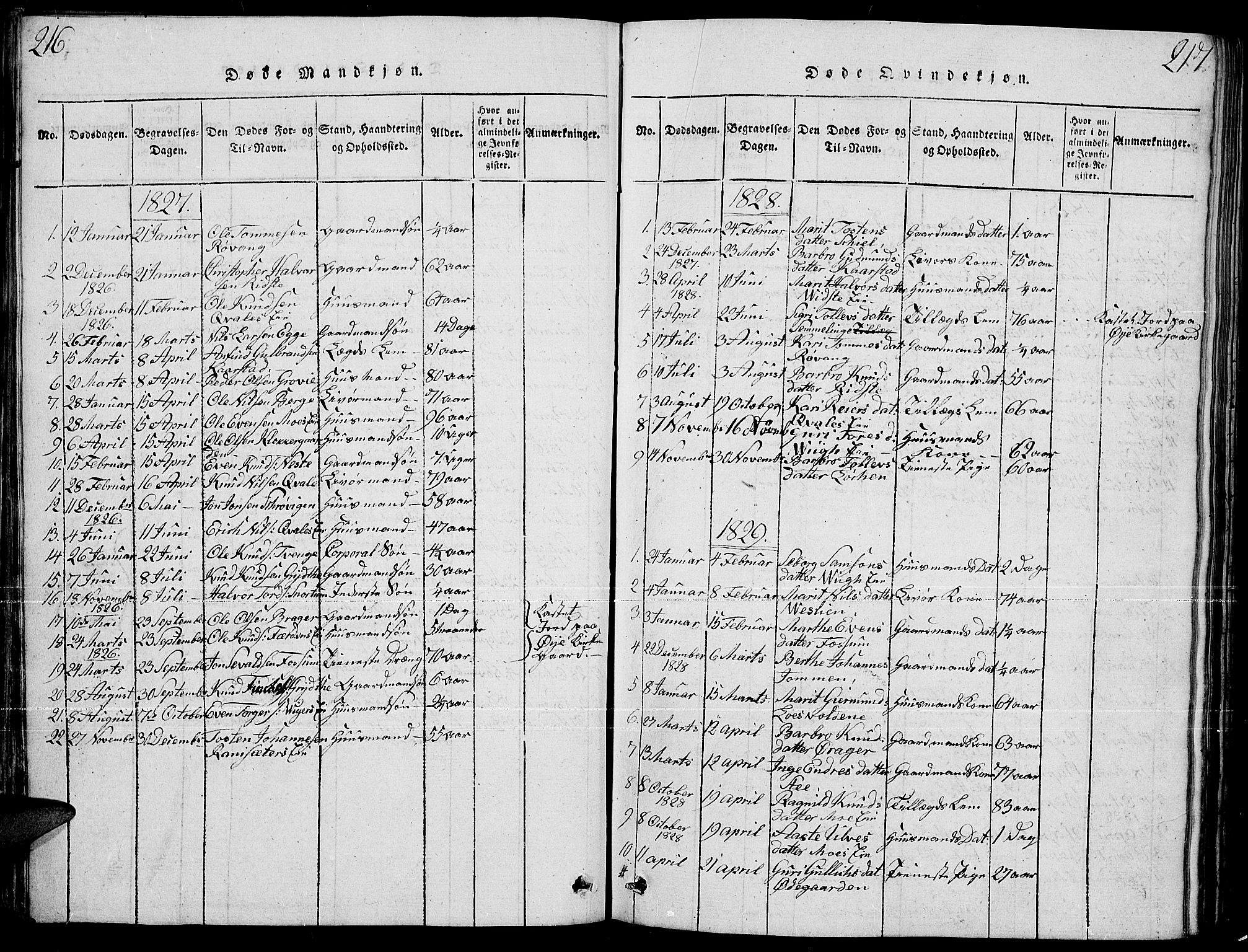 Slidre prestekontor, SAH/PREST-134/H/Ha/Hab/L0001: Parish register (copy) no. 1, 1814-1838, p. 216-217