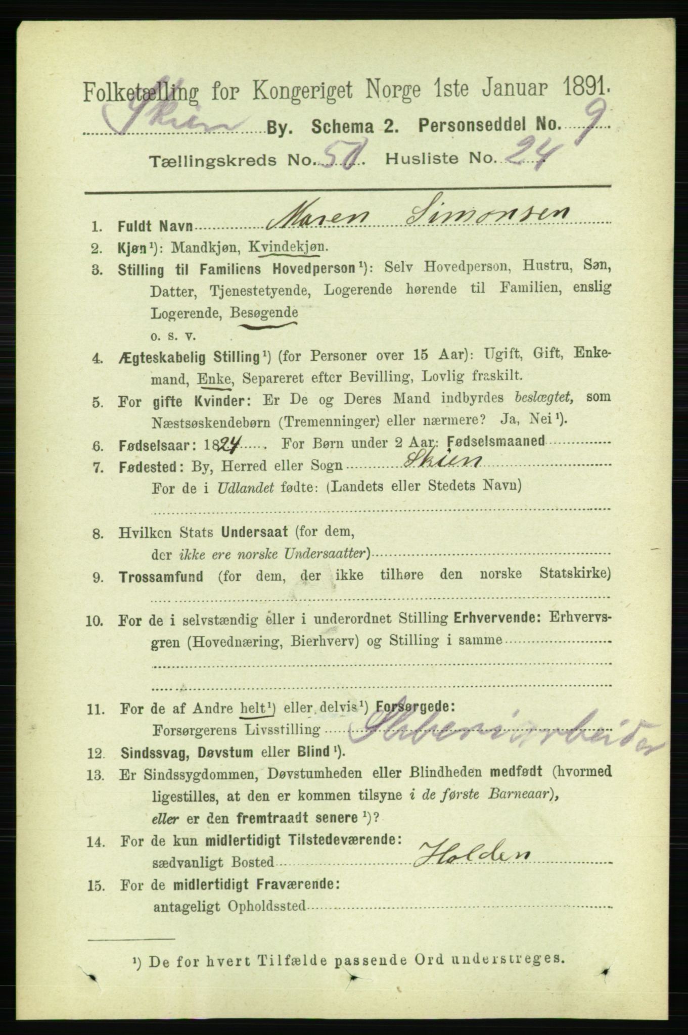 RA, 1891 census for 0806 Skien, 1891, p. 11006