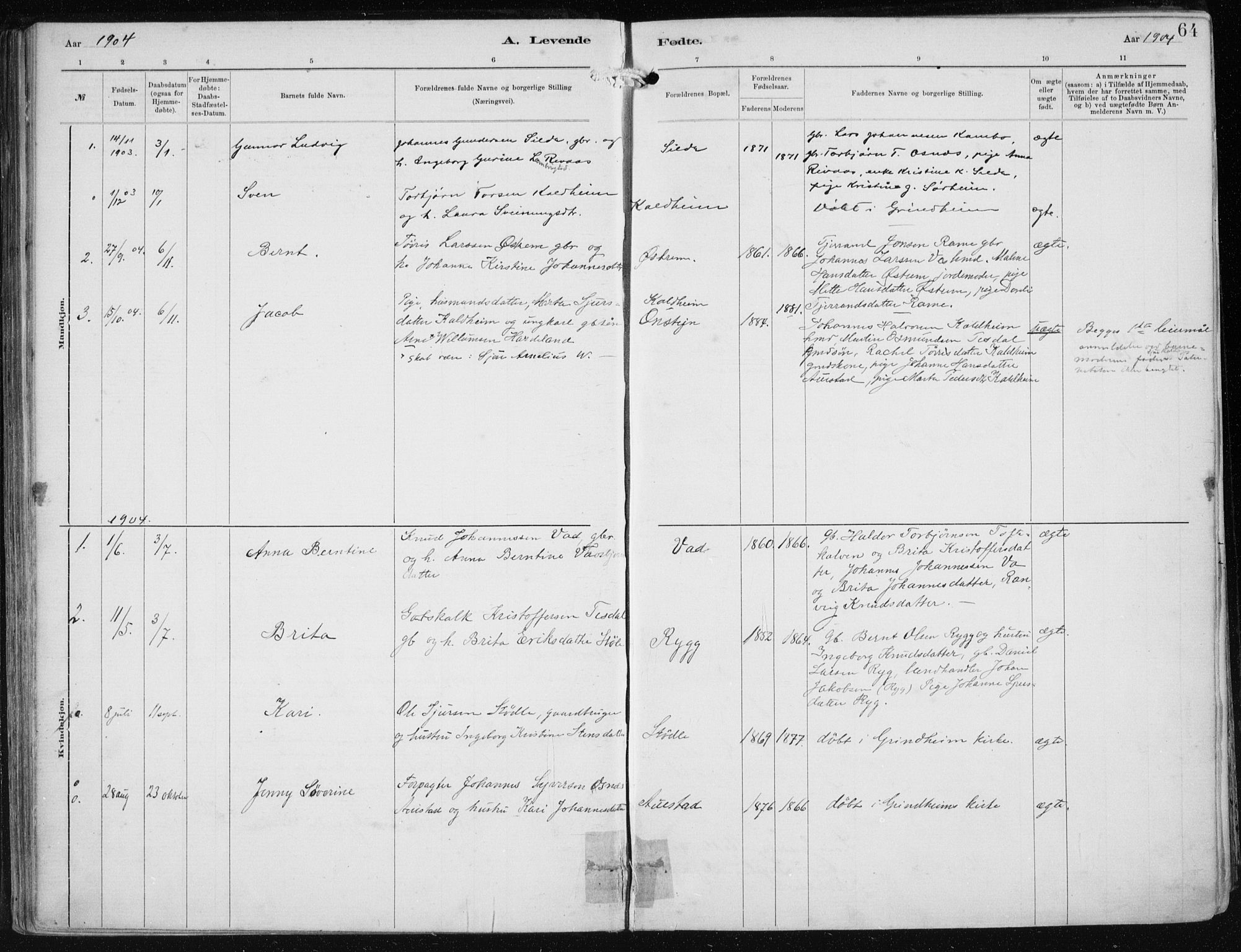 Etne sokneprestembete, SAB/A-75001/H/Haa: Parish register (official) no. B  1, 1879-1919, p. 64