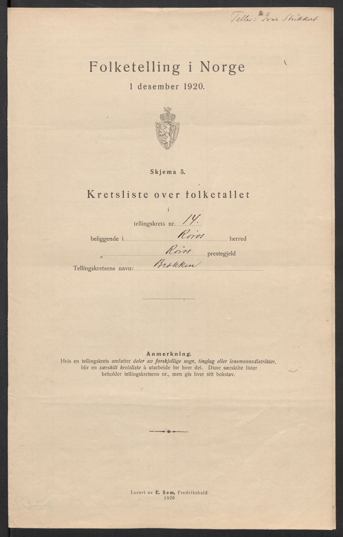SAT, 1920 census for Røros, 1920, p. 45