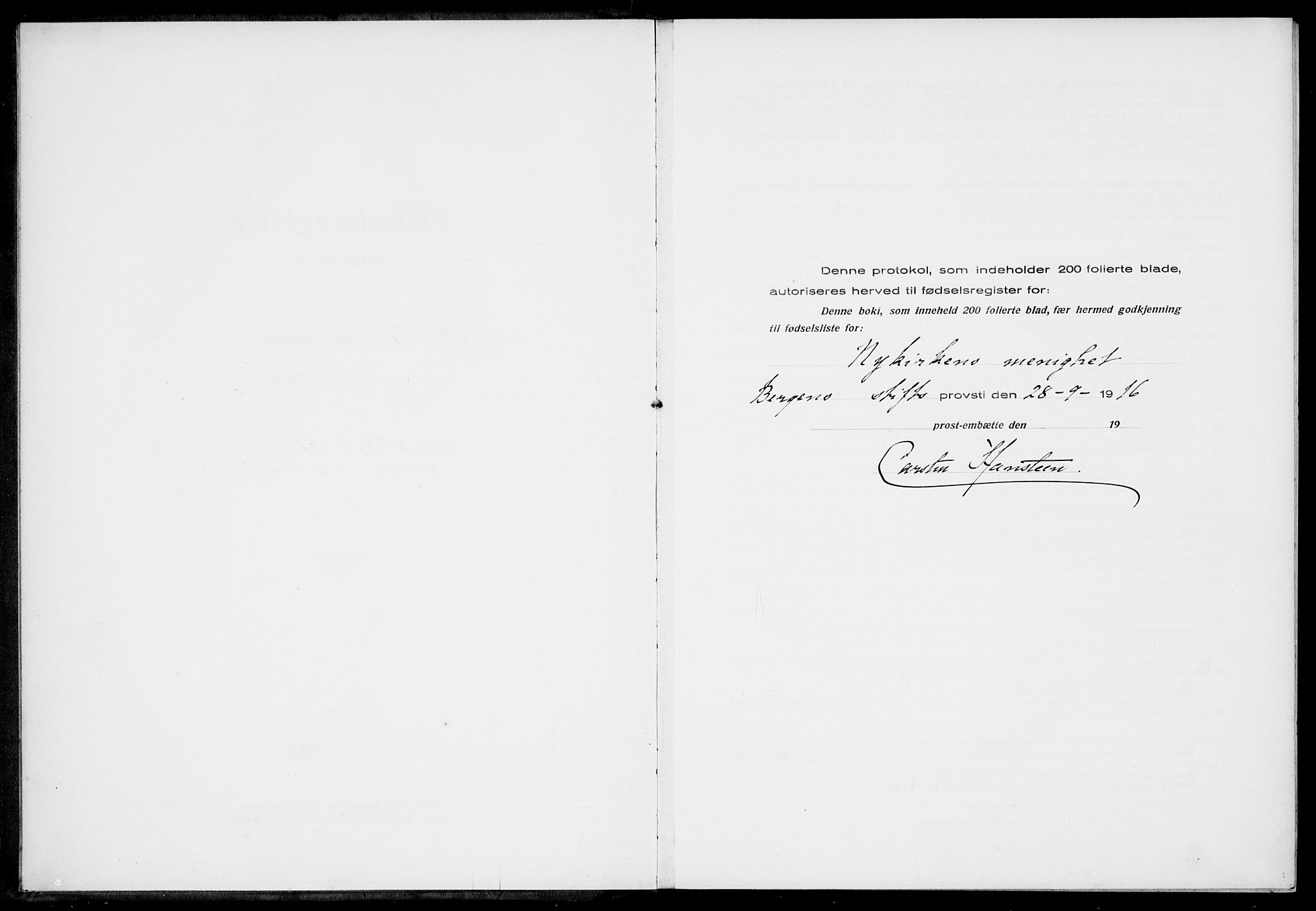 Nykirken Sokneprestembete, AV/SAB-A-77101/I/Id/L00A1: Birth register no. A 1, 1916-1922