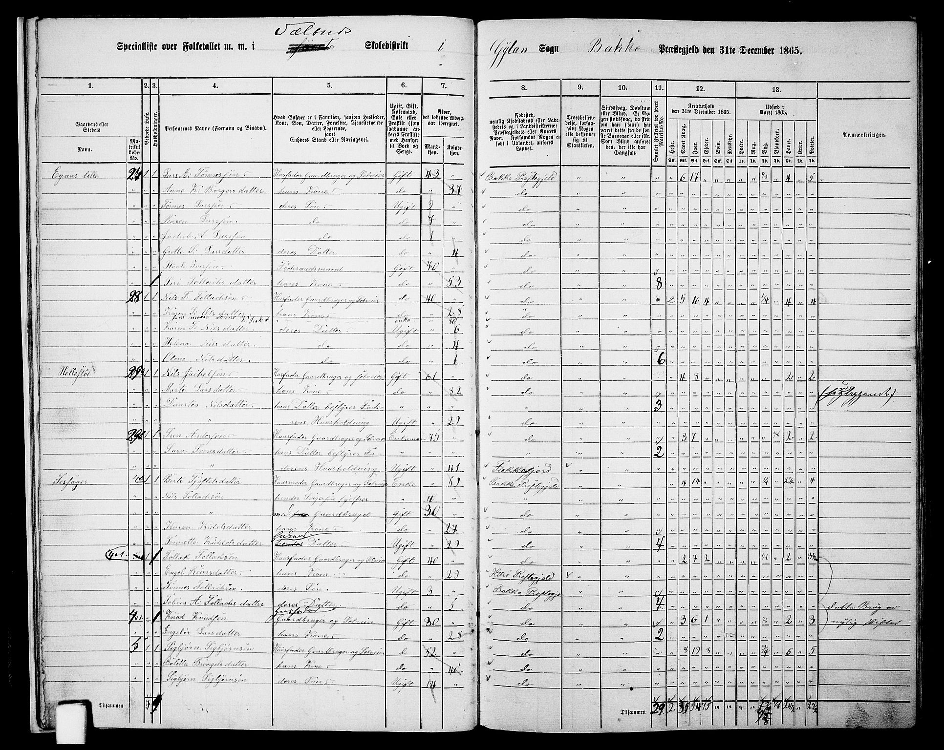 RA, 1865 census for Bakke, 1865, p. 15