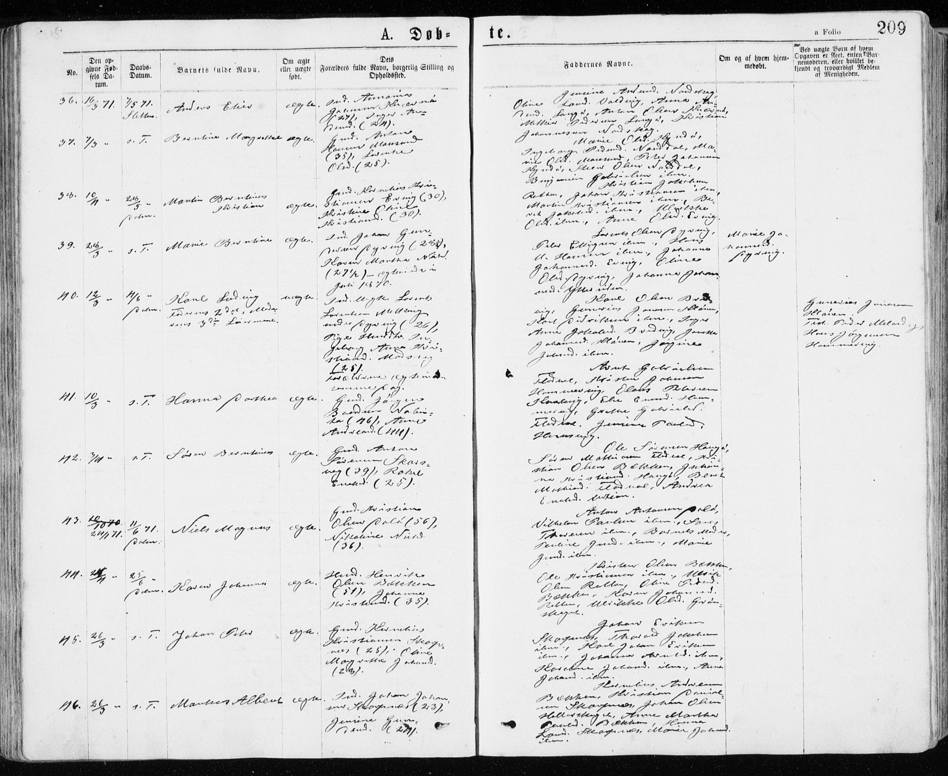 Ministerialprotokoller, klokkerbøker og fødselsregistre - Sør-Trøndelag, AV/SAT-A-1456/640/L0576: Parish register (official) no. 640A01, 1846-1876, p. 209