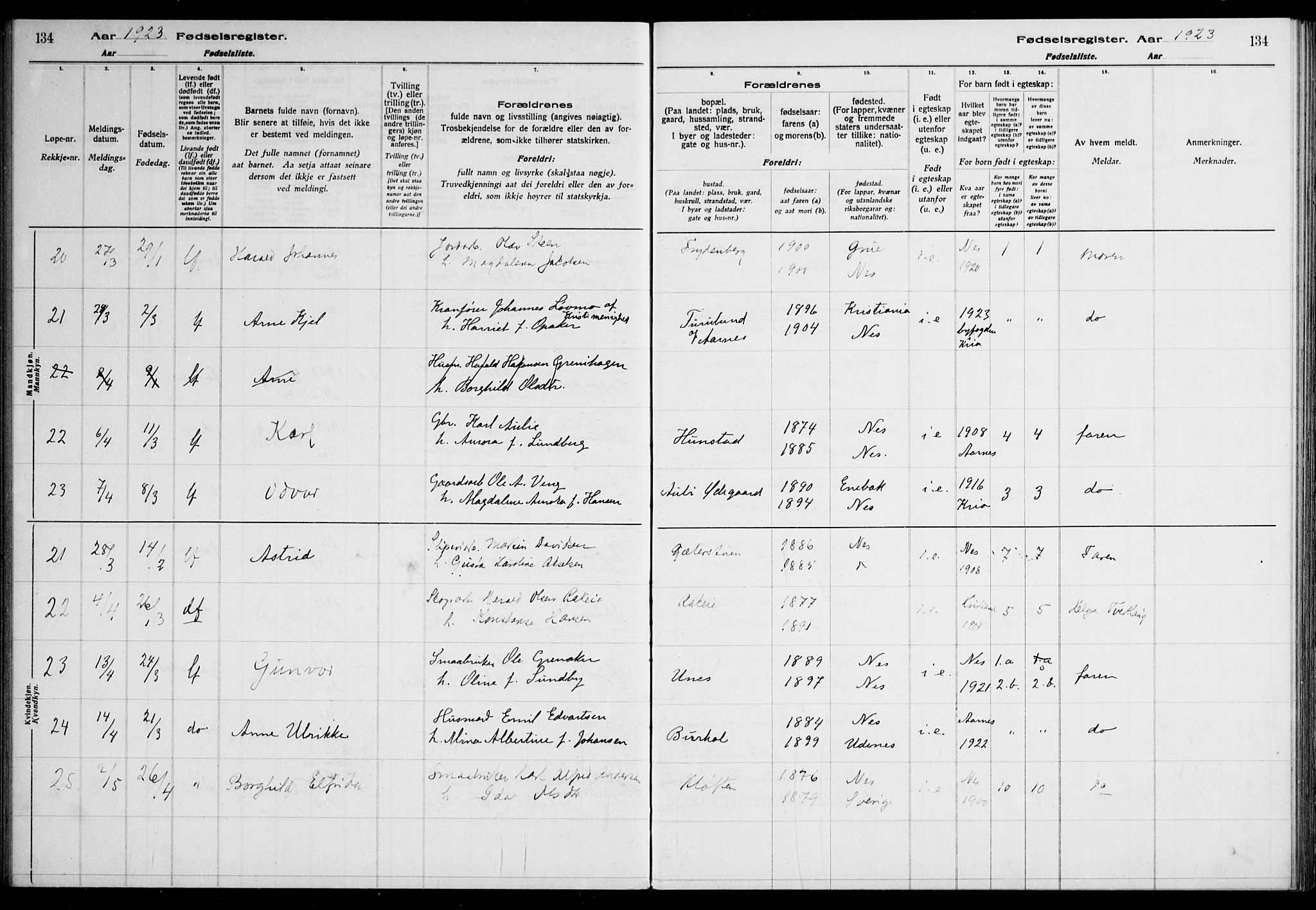 Nes prestekontor Kirkebøker, AV/SAO-A-10410/J/Ja/L0001: Birth register no. 1, 1916-1926, p. 134