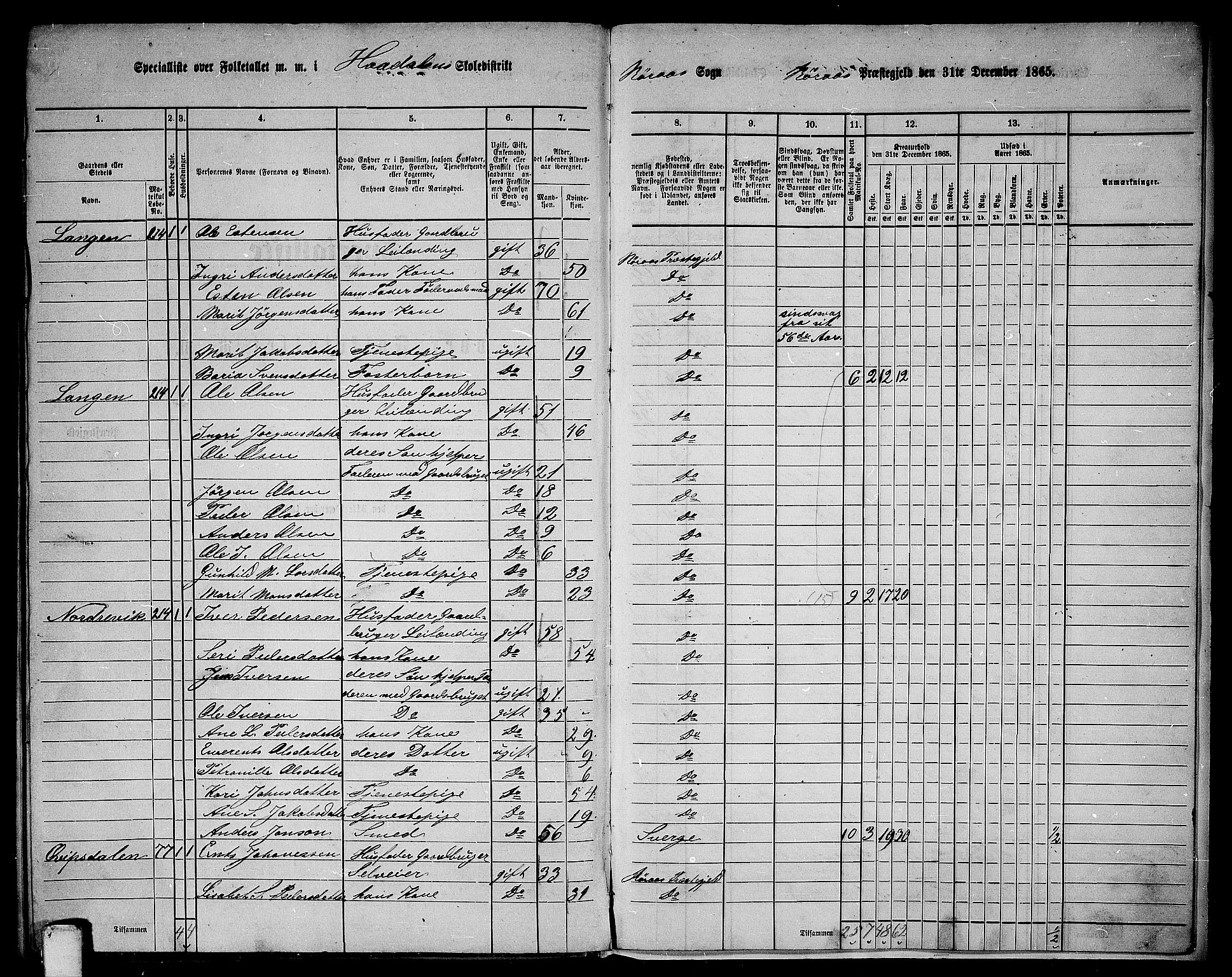 RA, 1865 census for Røros, 1865, p. 162