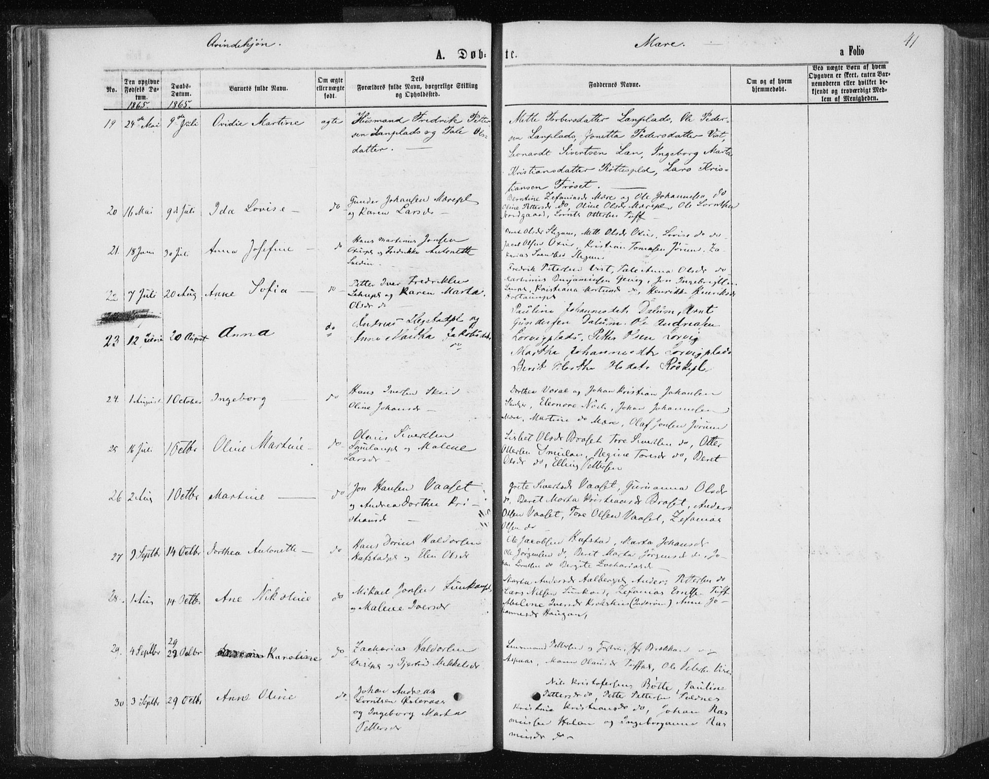 Ministerialprotokoller, klokkerbøker og fødselsregistre - Nord-Trøndelag, AV/SAT-A-1458/735/L0345: Parish register (official) no. 735A08 /1, 1863-1872, p. 41