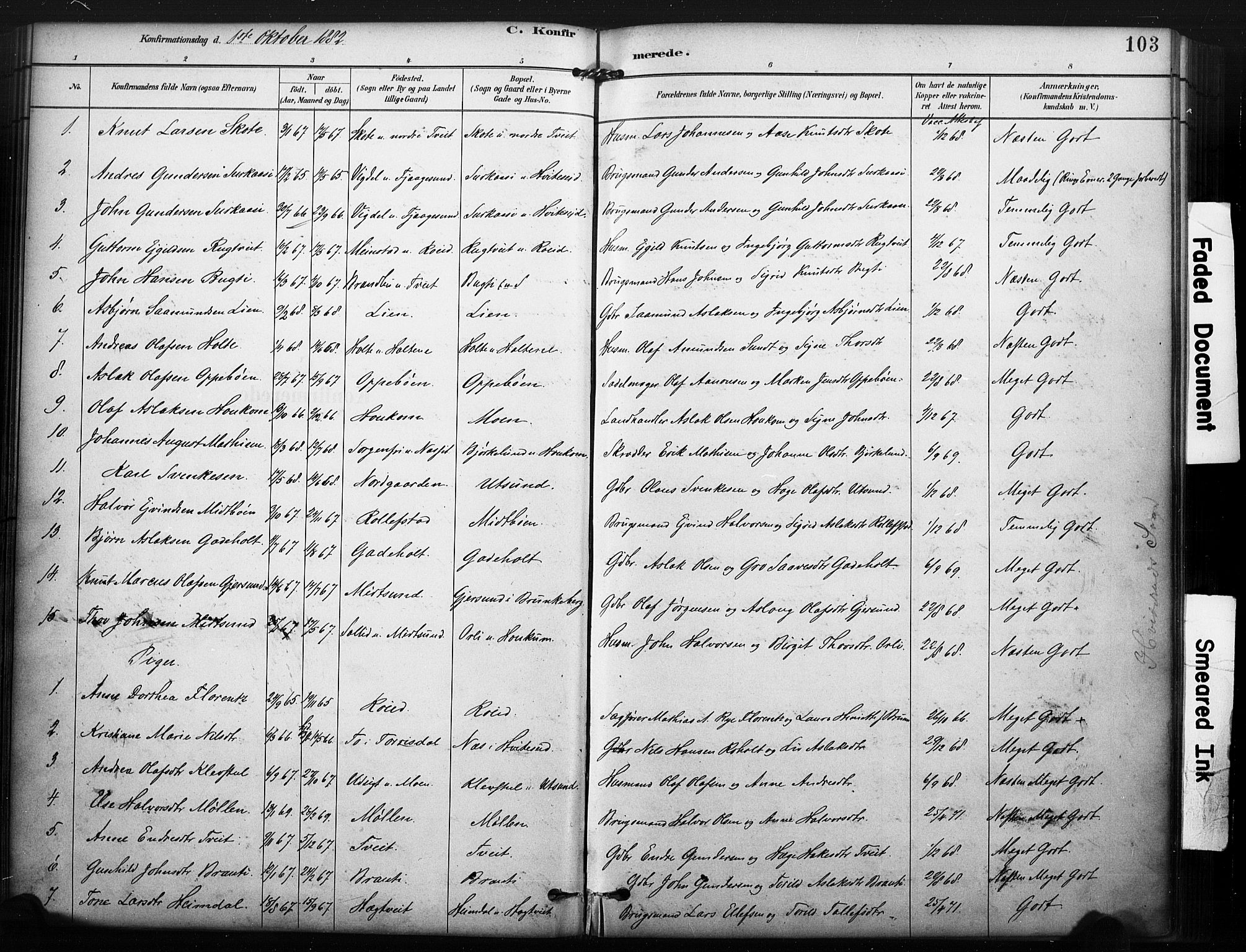 Kviteseid kirkebøker, SAKO/A-276/F/Fa/L0008: Parish register (official) no. I 8, 1882-1903, p. 103