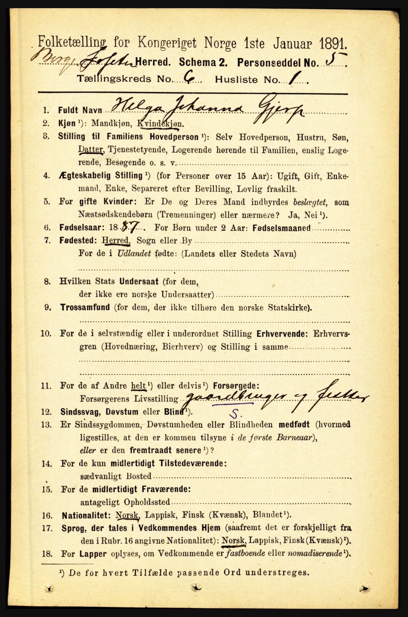 RA, 1891 census for 1862 Borge, 1891, p. 3941